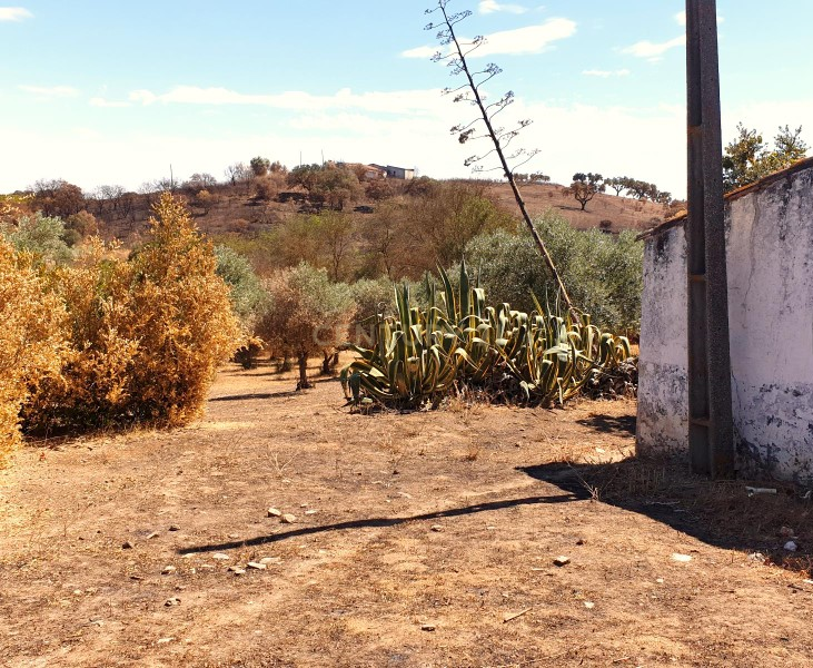Herdades com produção Vinho, com 157,3ha situada em Terrugem, concelho de Elvas - Image 11