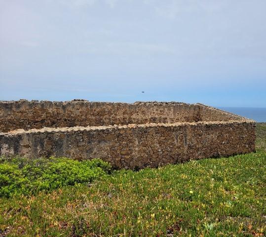 Herdade com 700 hectares para venda! - Image 8