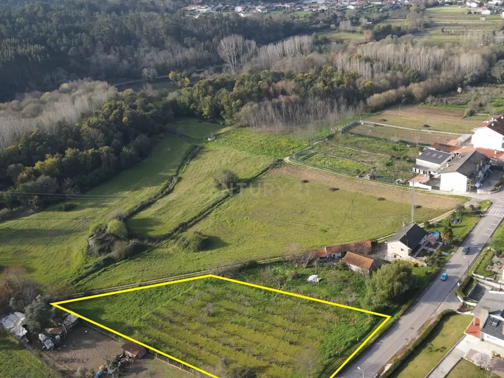 Terreno para construção com poço - Lousã - Image 5