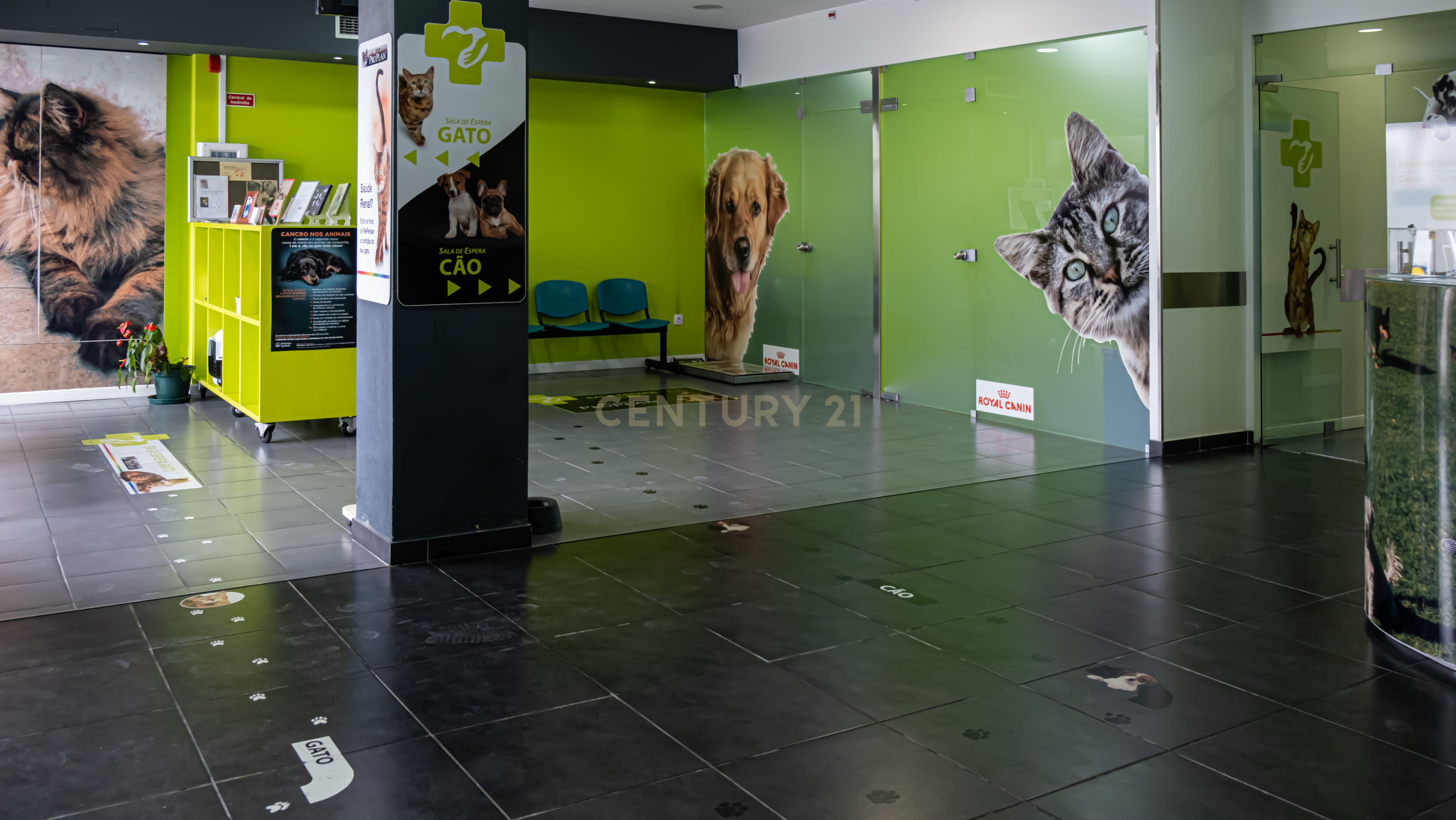 Negócio – Hospital Veterinário no centro de Santarém - Image 11