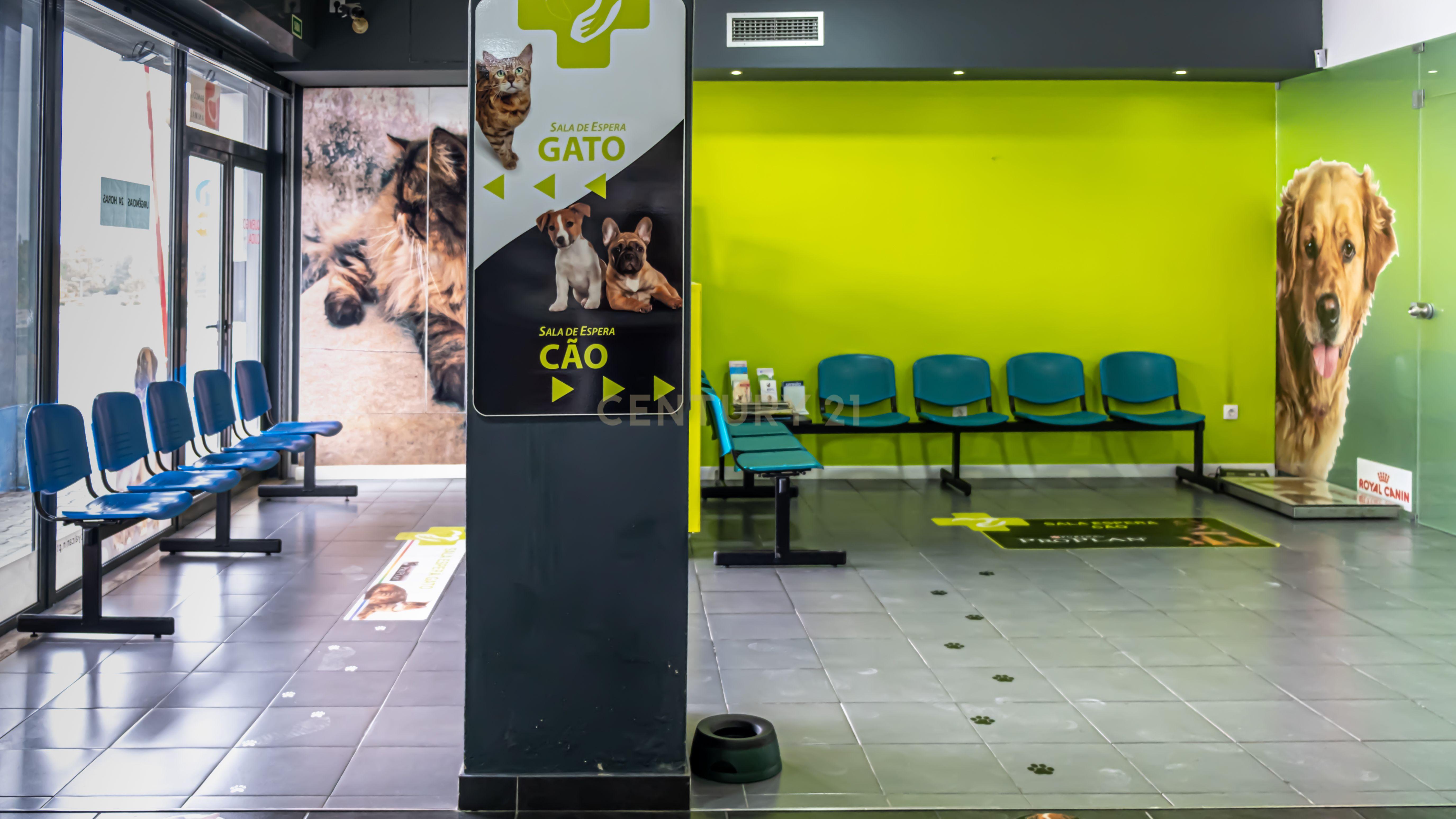 Negócio – Hospital Veterinário no centro de Santarém - Image 13