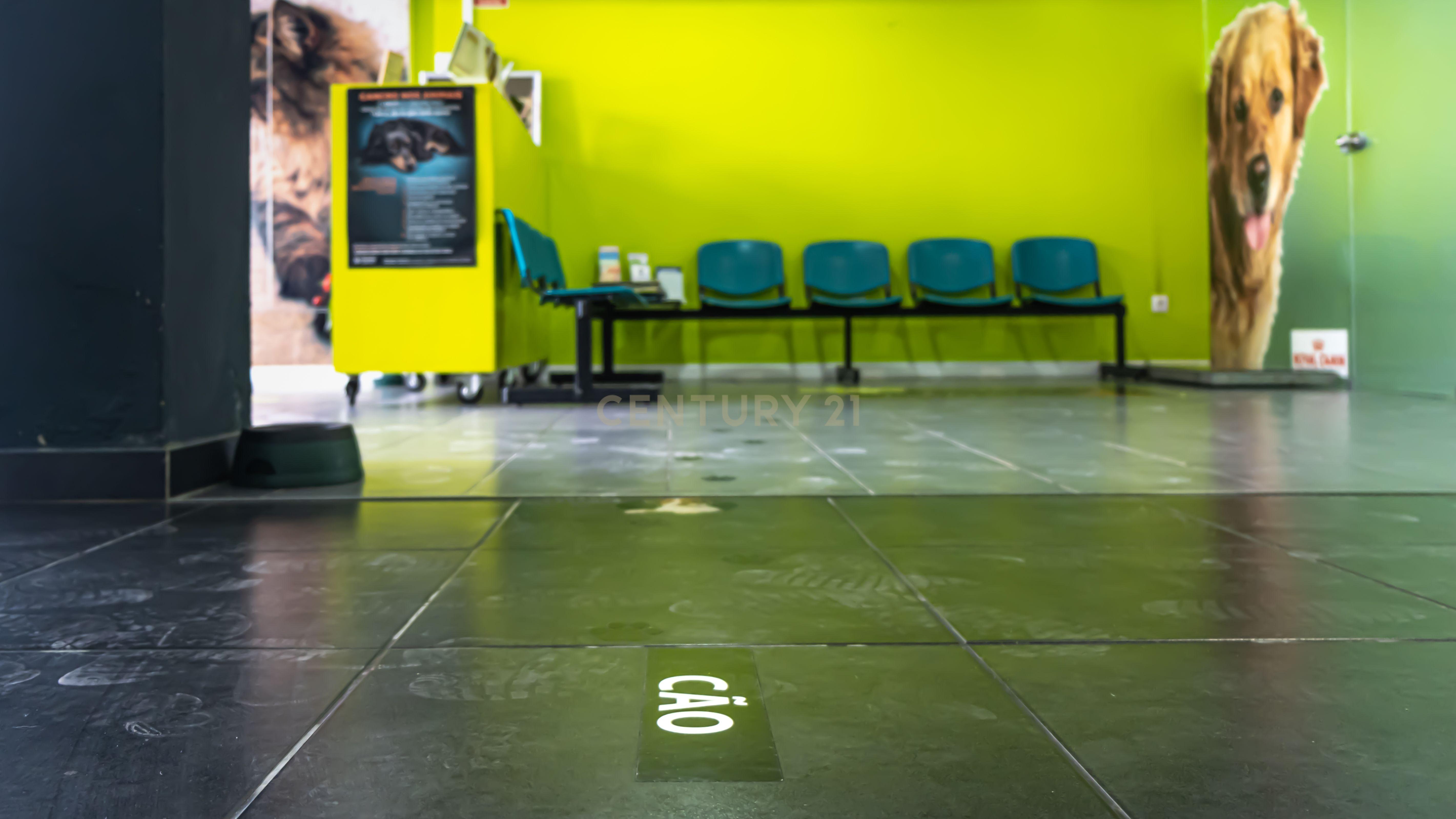 Negócio – Hospital Veterinário no centro de Santarém - Image 30