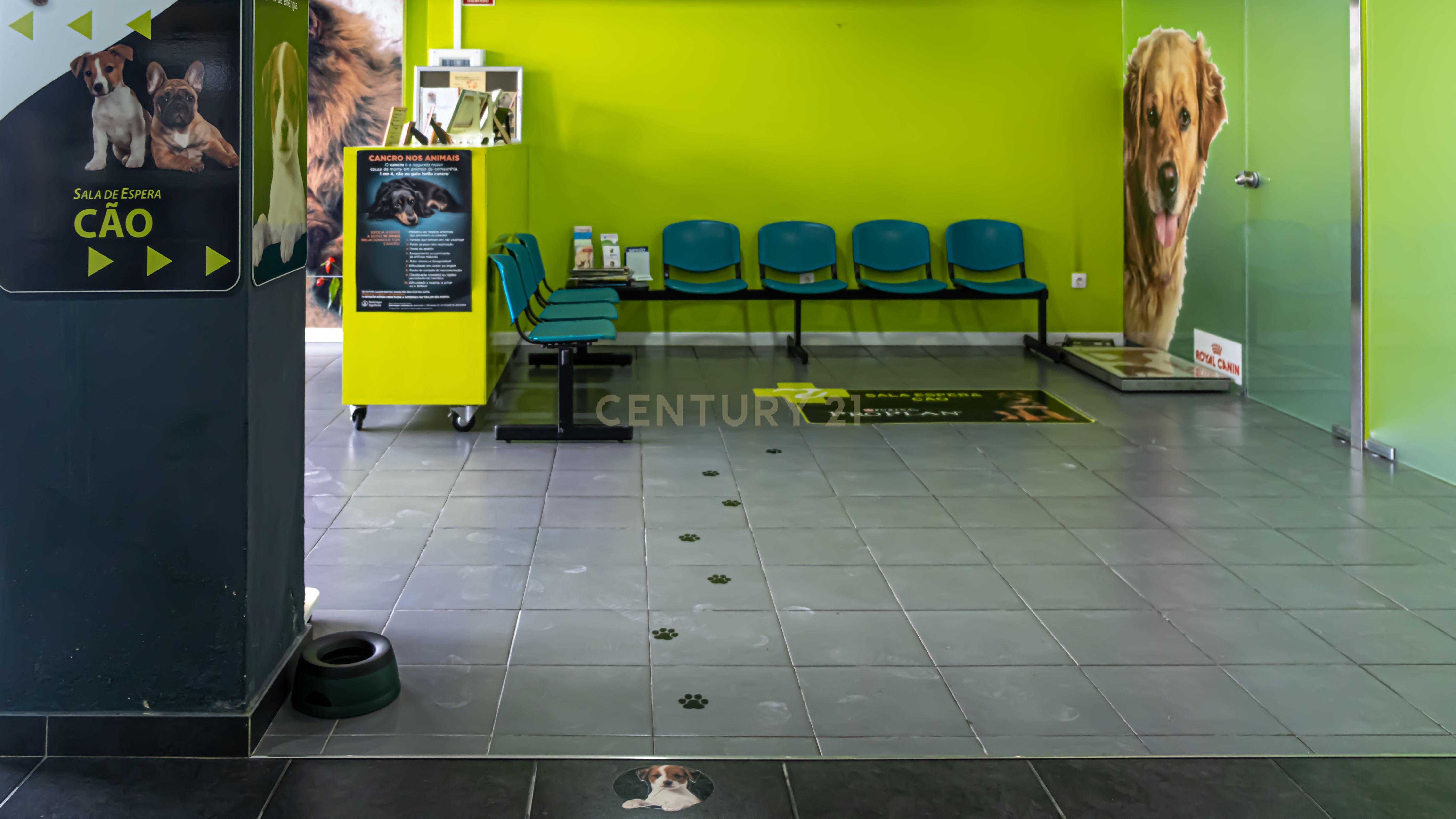 Negócio – Hospital Veterinário no centro de Santarém - Image 15