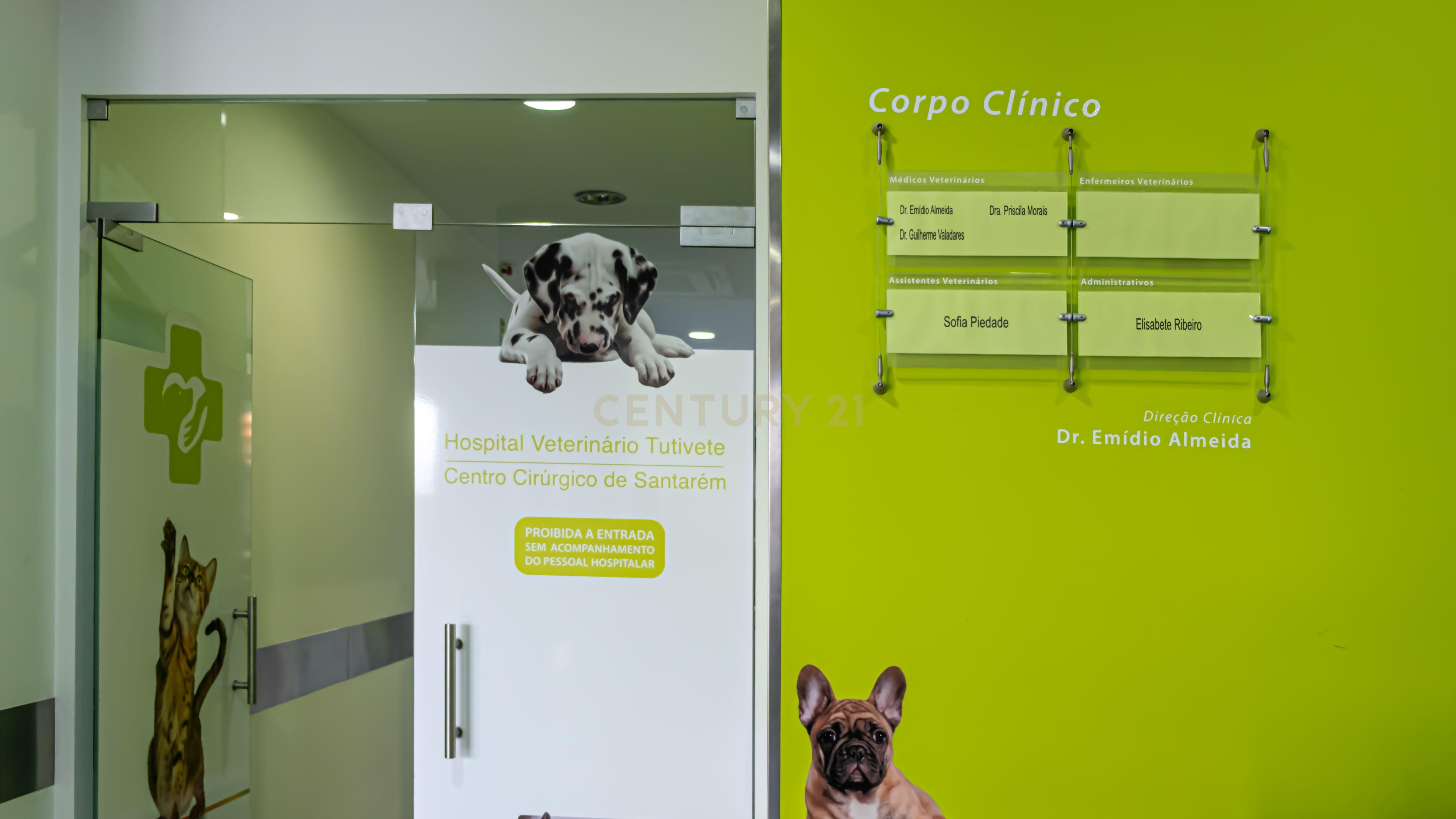 Negócio – Hospital Veterinário no centro de Santarém - Image 21