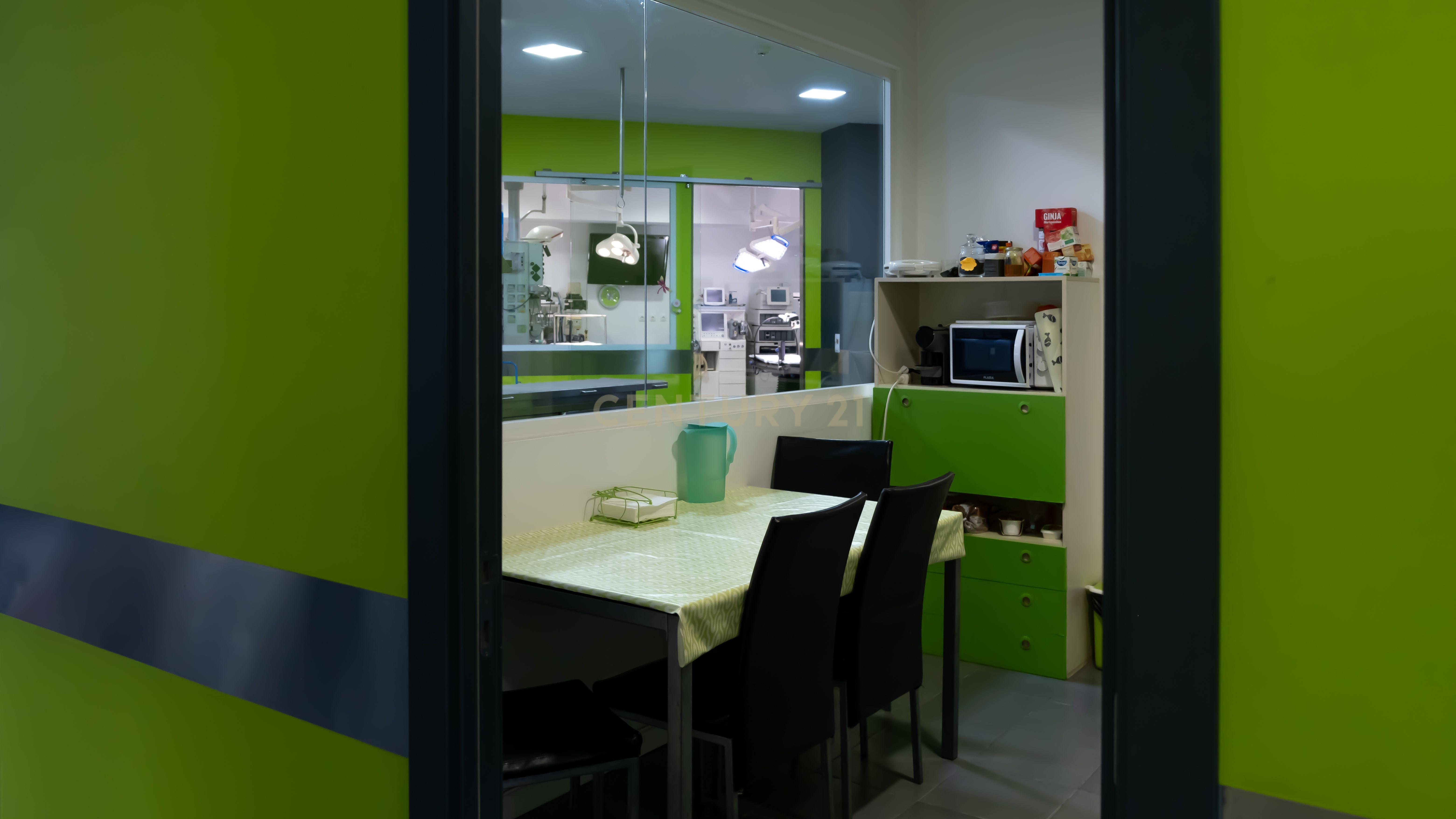 Negócio – Hospital Veterinário no centro de Santarém - Image 22