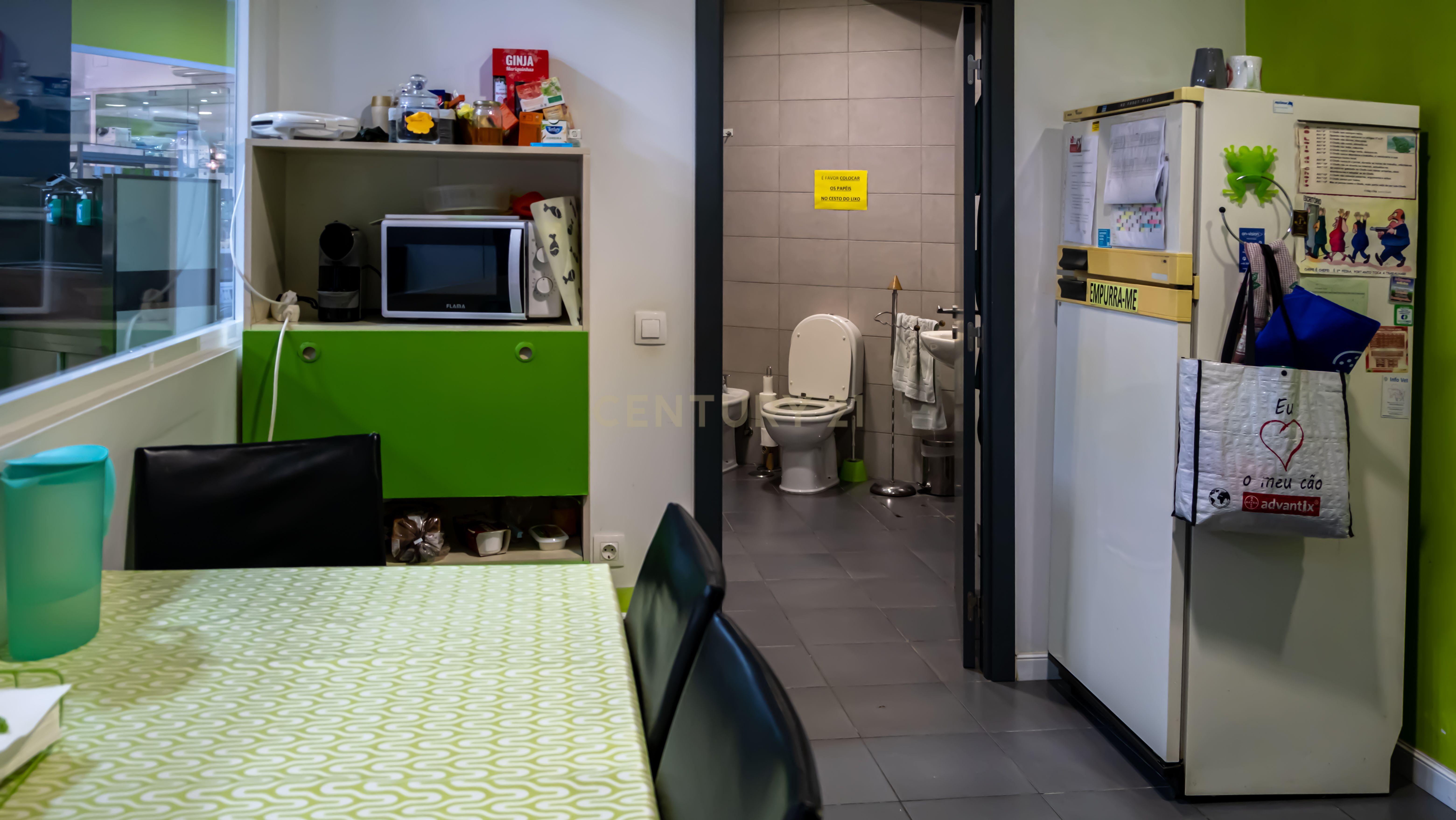 Negócio – Hospital Veterinário no centro de Santarém - Image 24