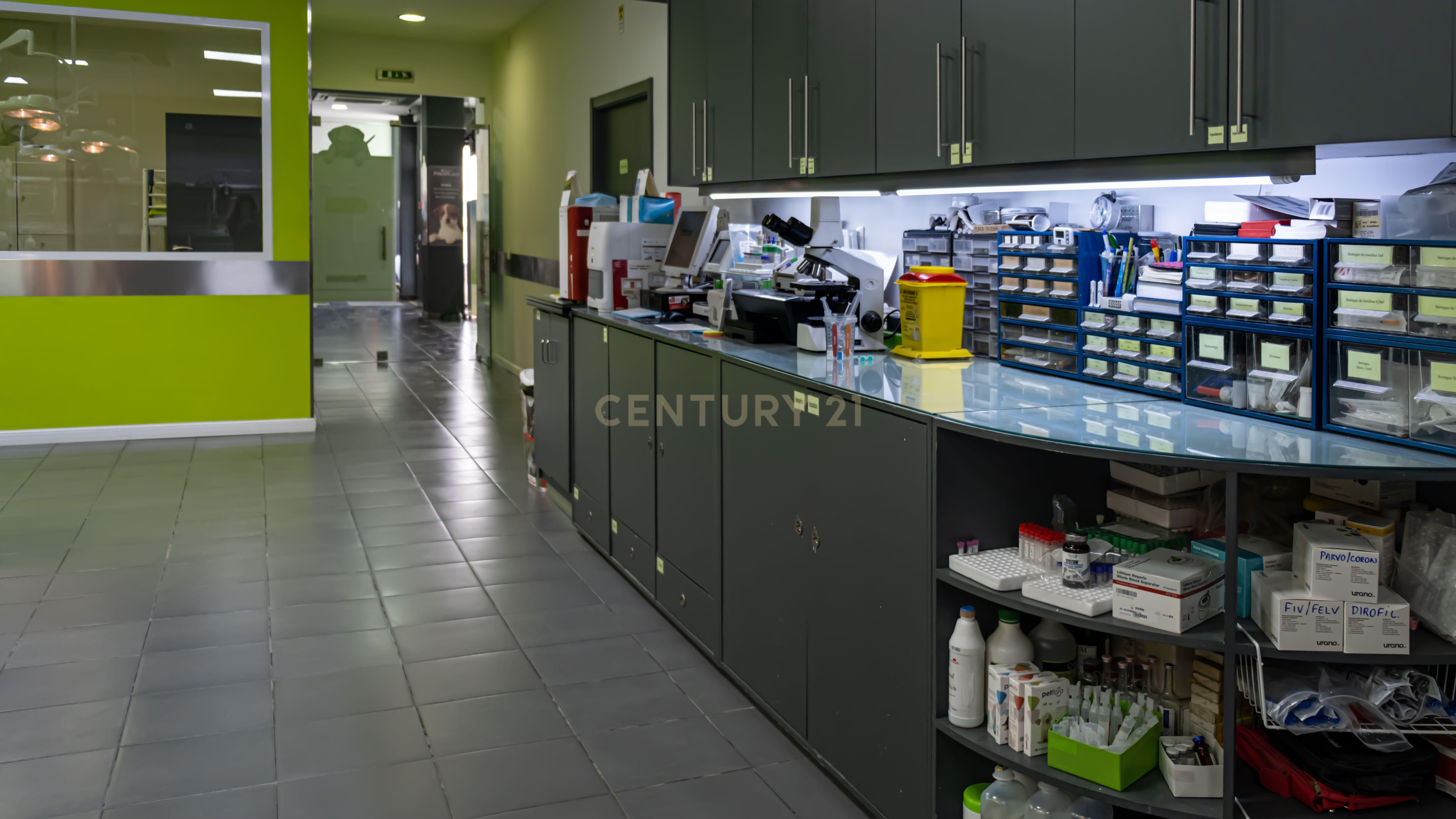Negócio – Hospital Veterinário no centro de Santarém - Image 29