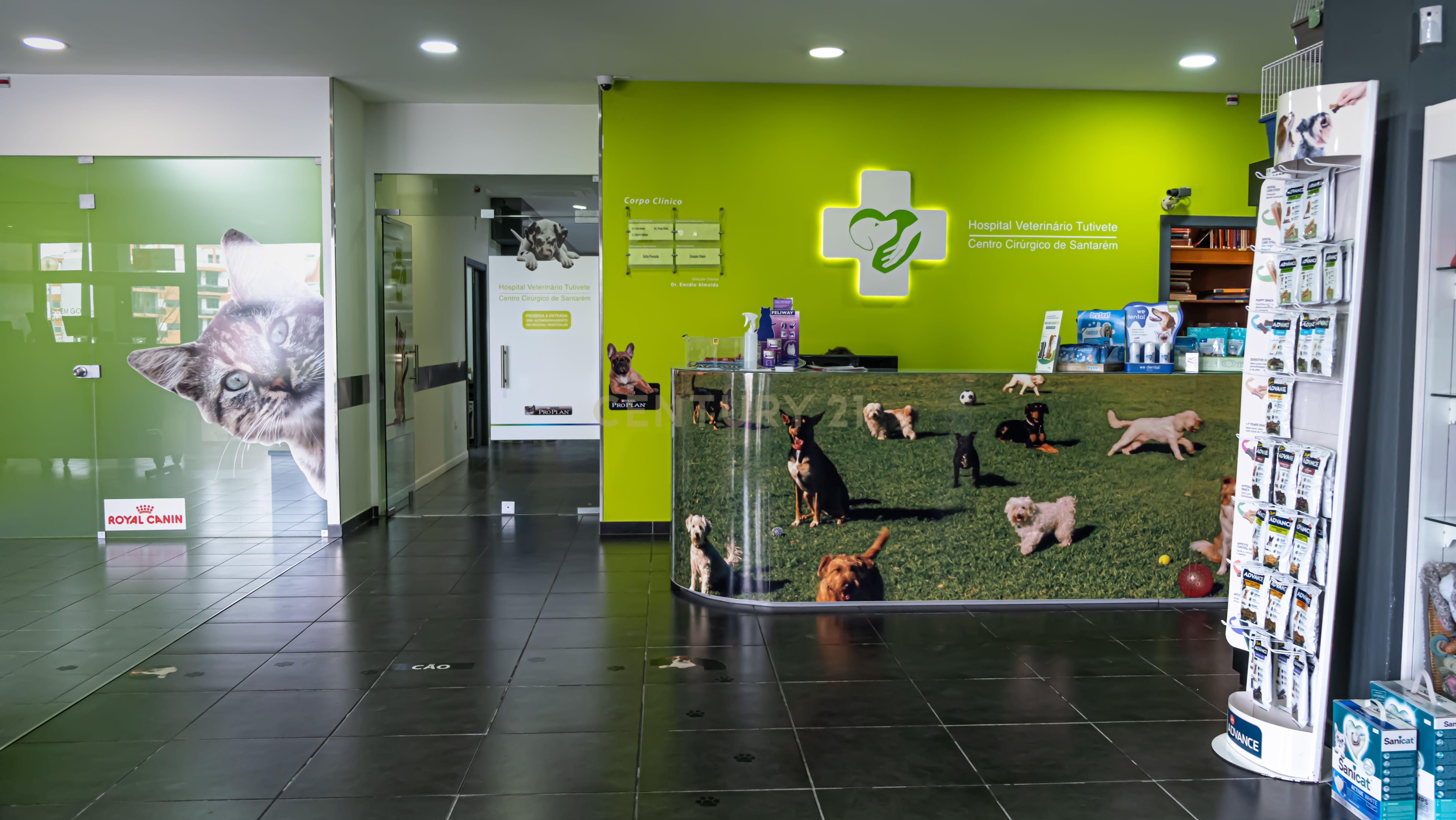 Negócio – Hospital Veterinário no centro de Santarém - Image 7