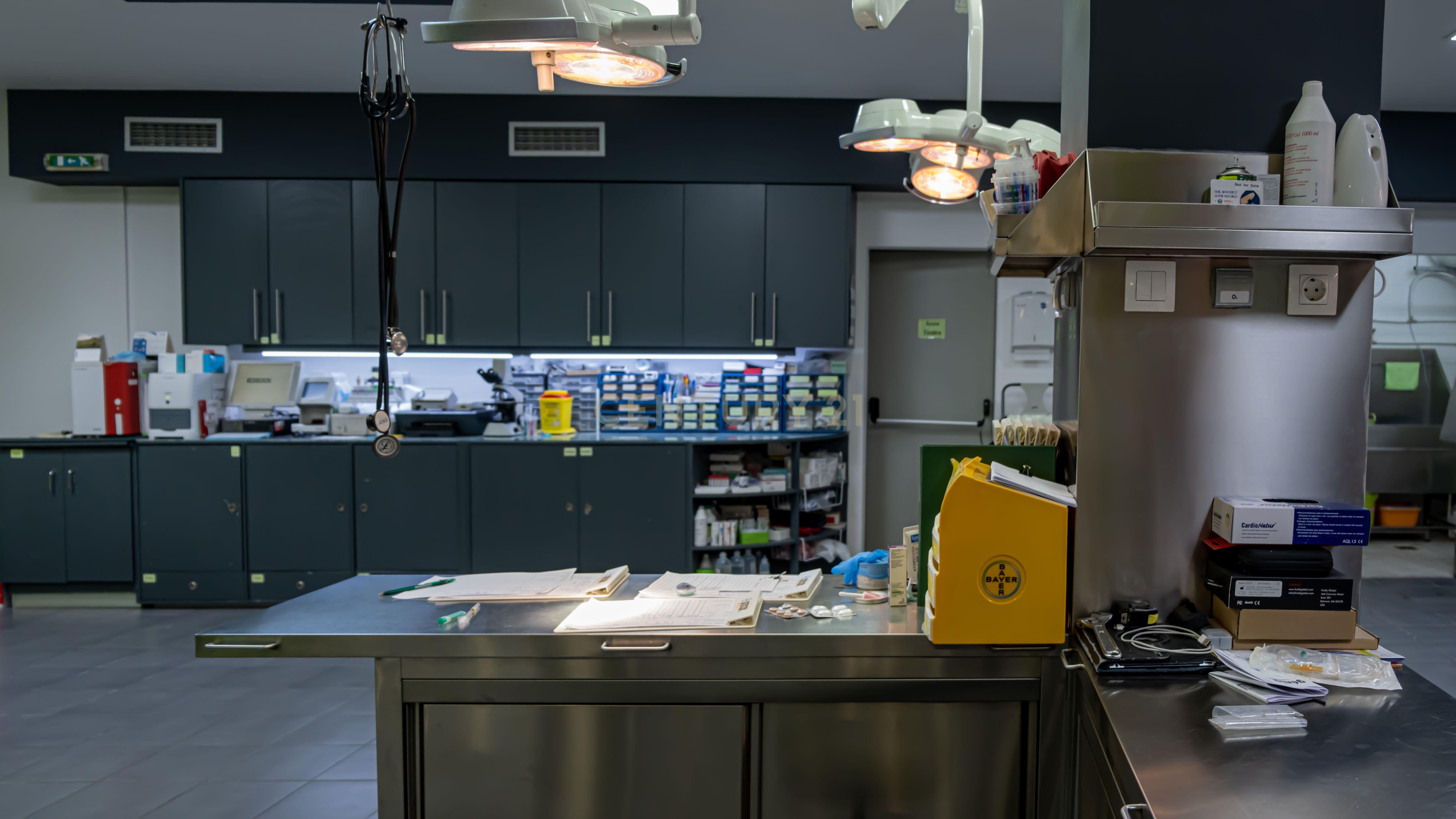 Negócio – Hospital Veterinário no centro de Santarém - Image 31