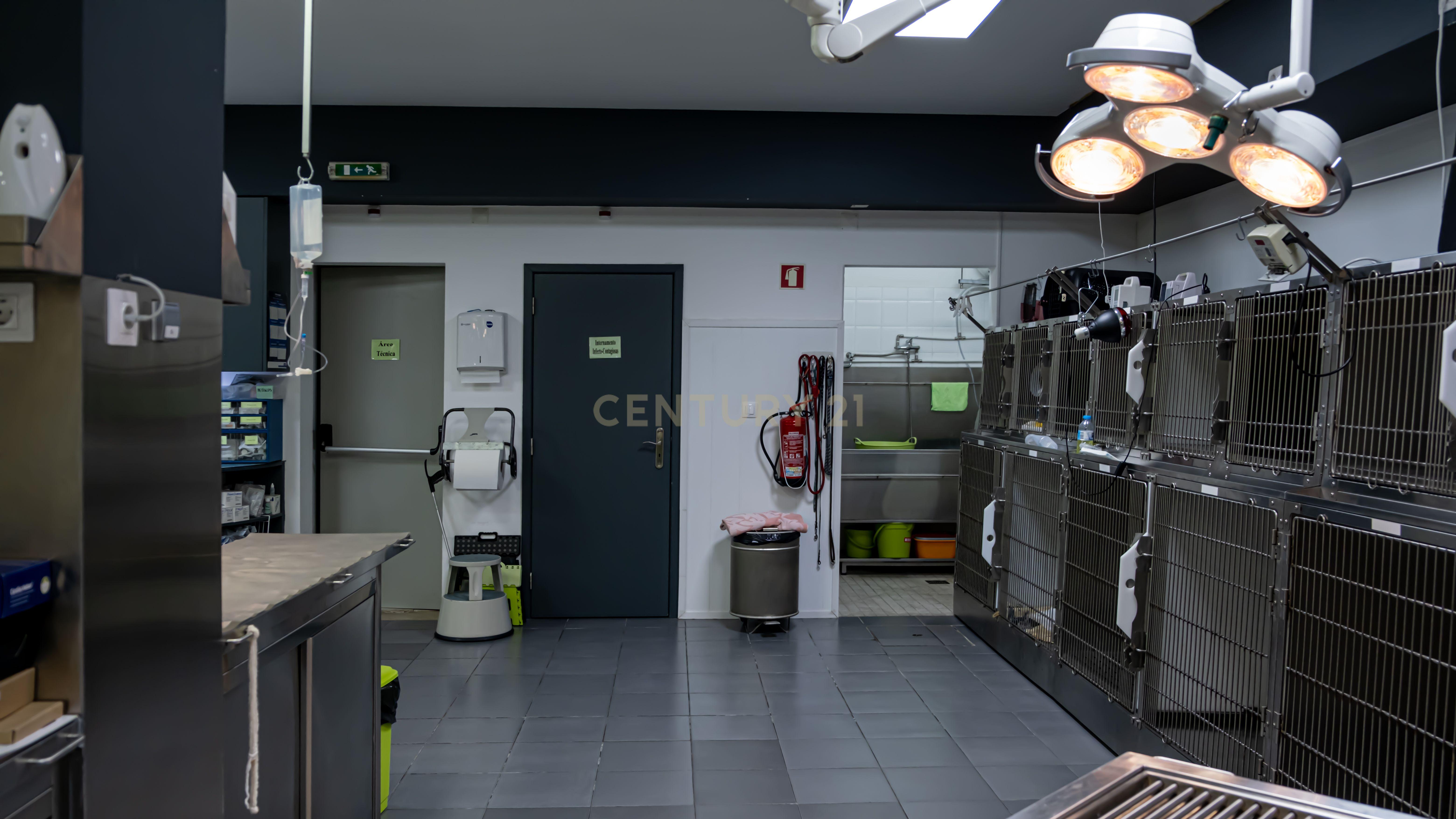 Negócio – Hospital Veterinário no centro de Santarém - Image 38