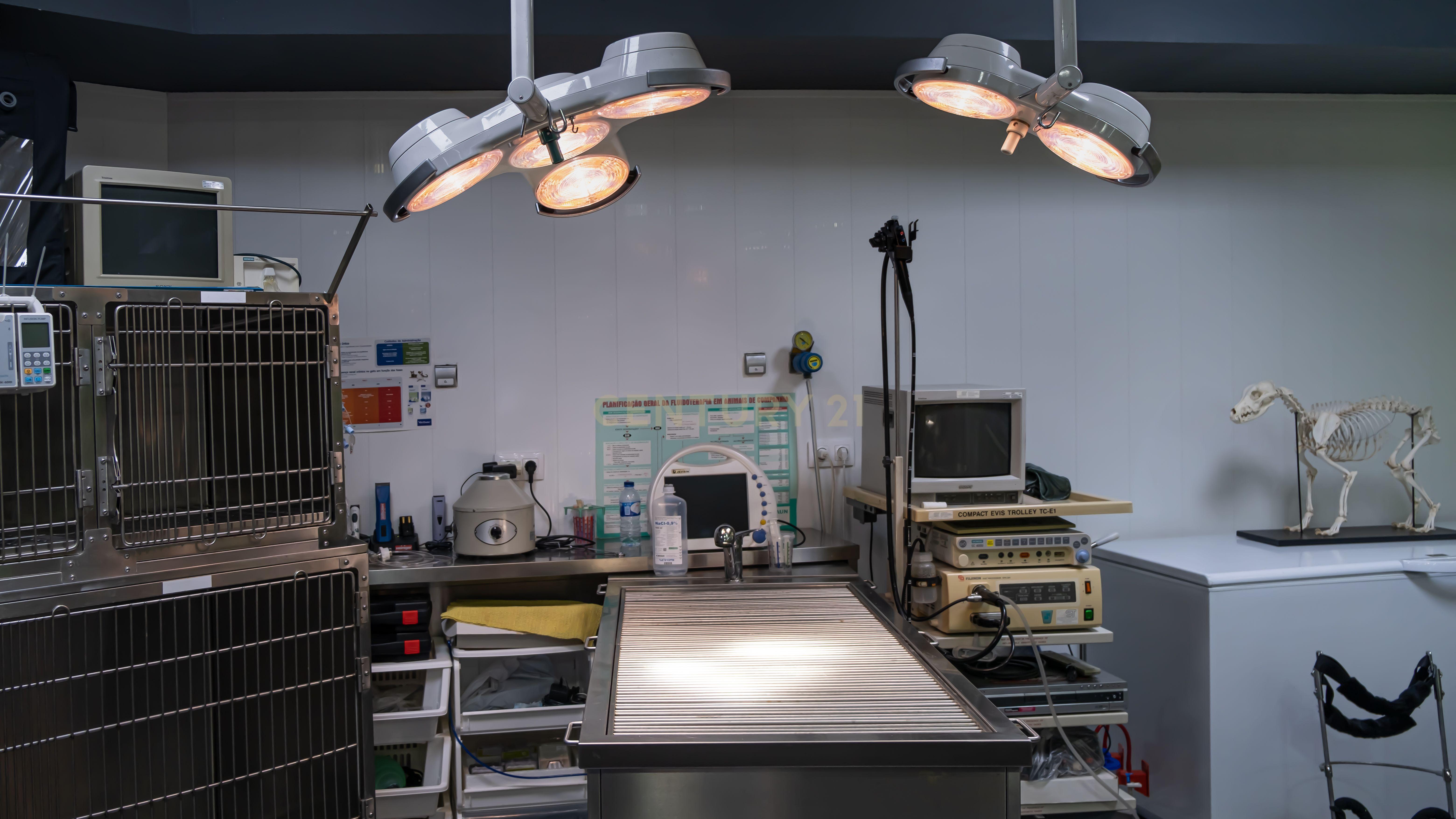 Negócio – Hospital Veterinário no centro de Santarém - Image 40