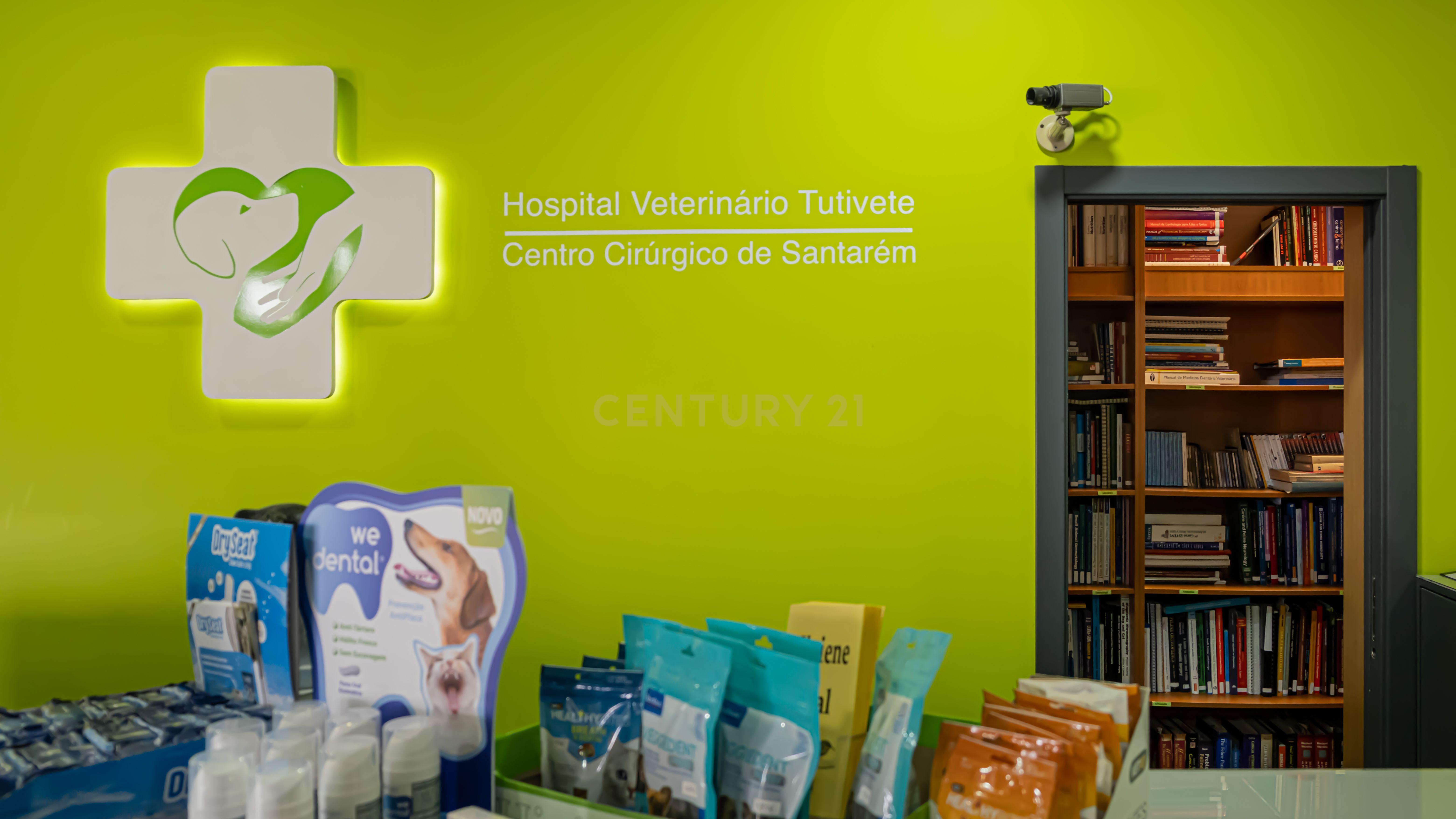Negócio – Hospital Veterinário no centro de Santarém - Image 12