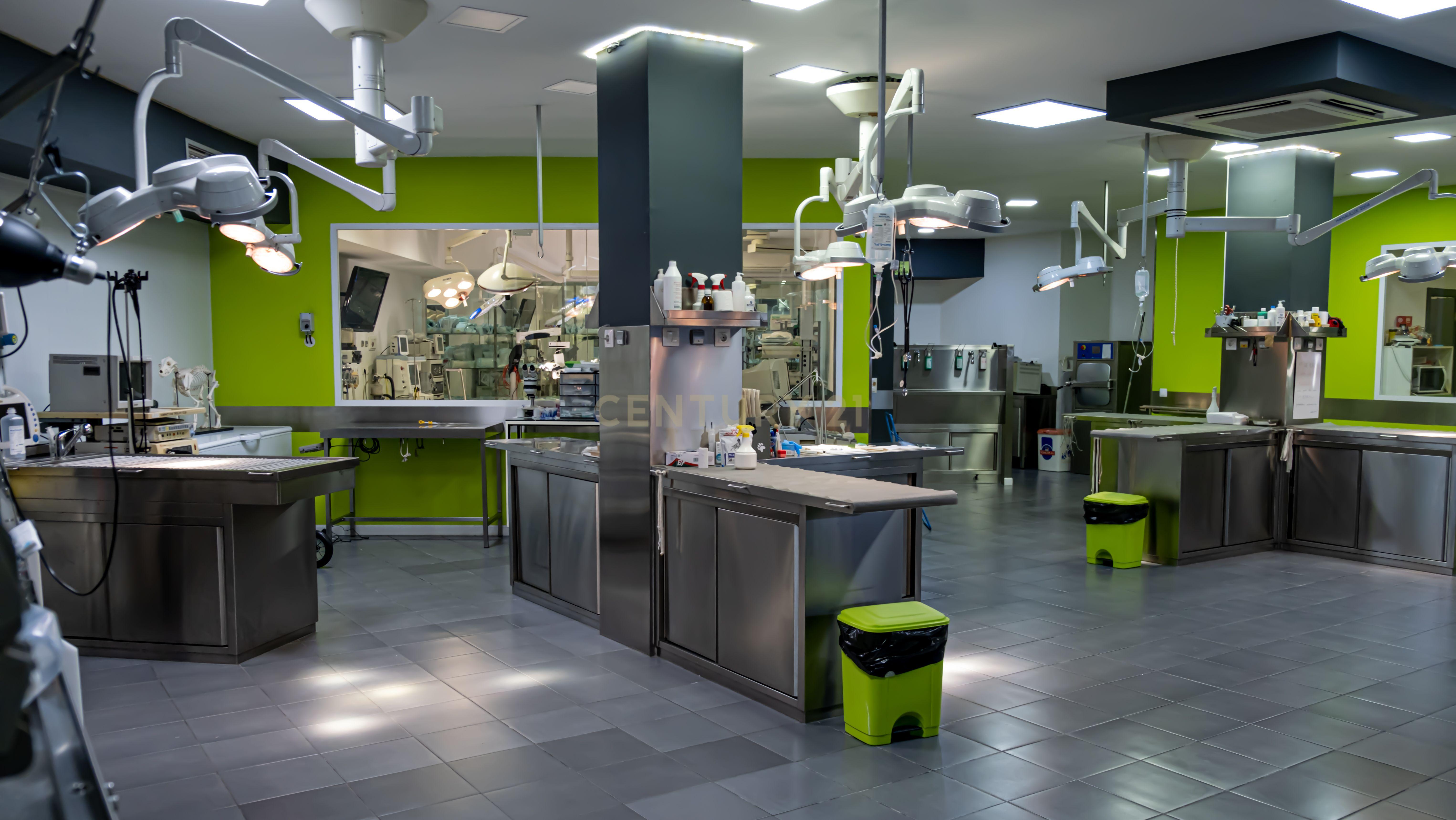 Negócio – Hospital Veterinário no centro de Santarém - Image 42