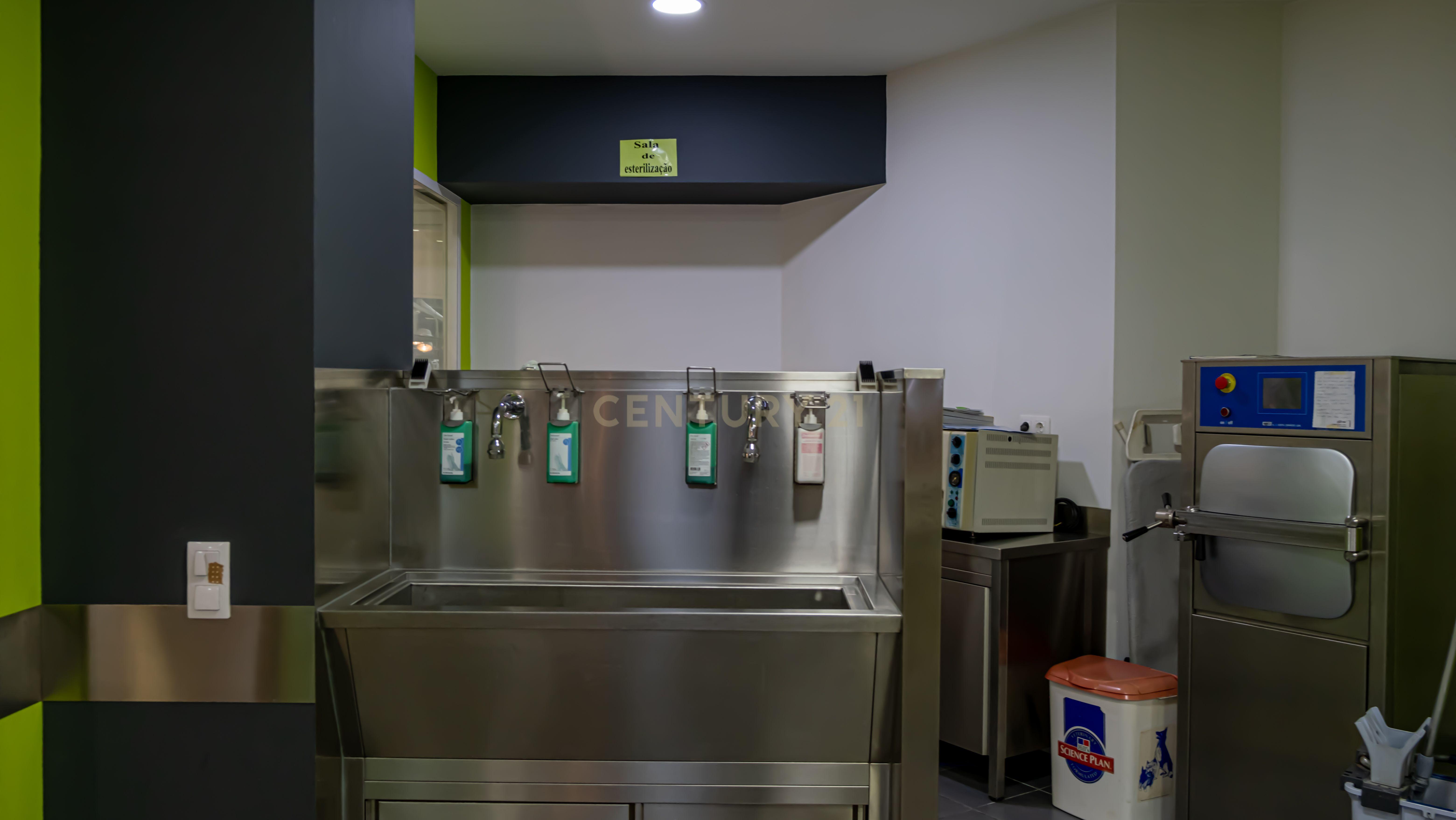 Negócio – Hospital Veterinário no centro de Santarém - Image 43