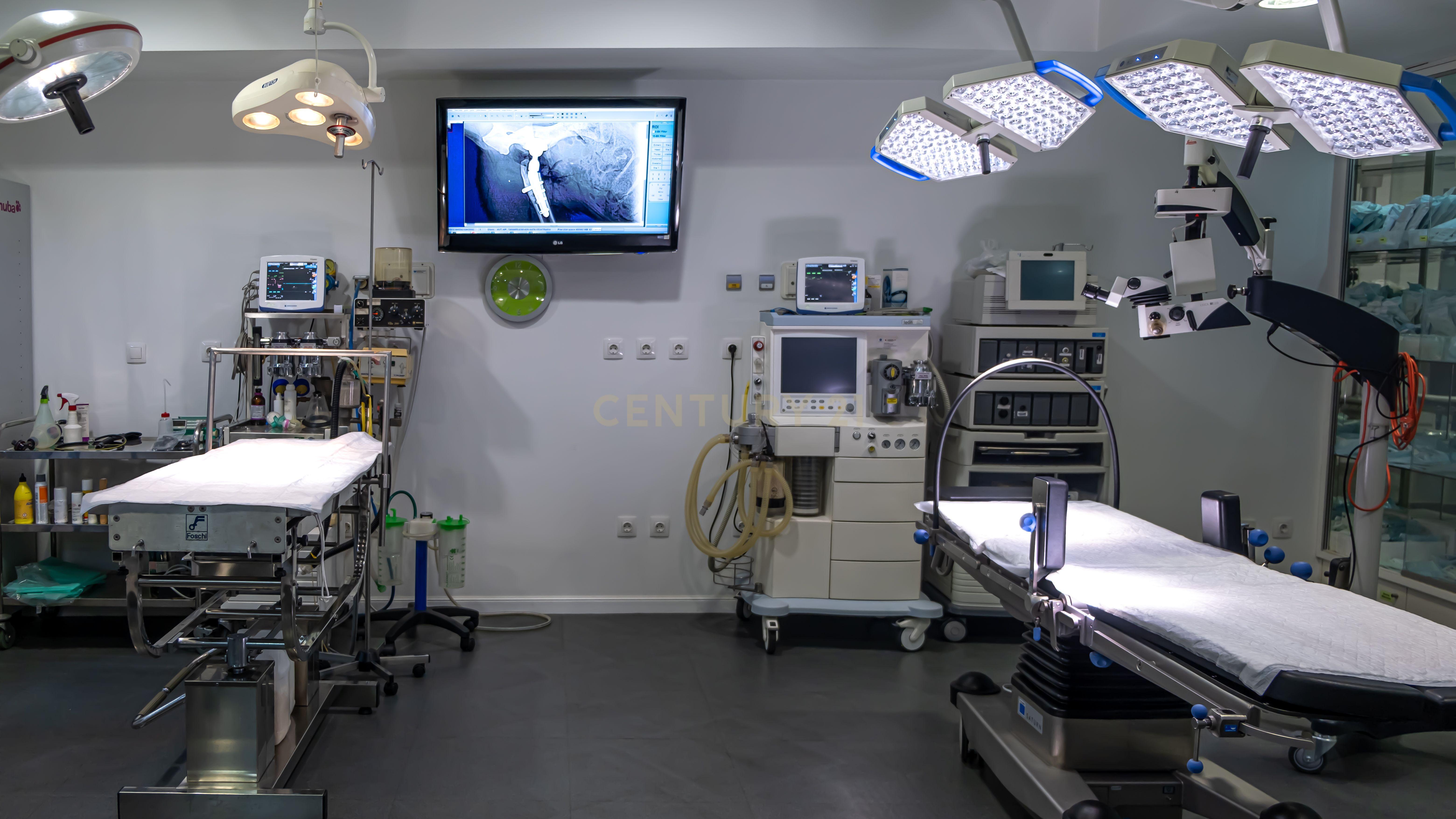 Negócio – Hospital Veterinário no centro de Santarém - Image 6