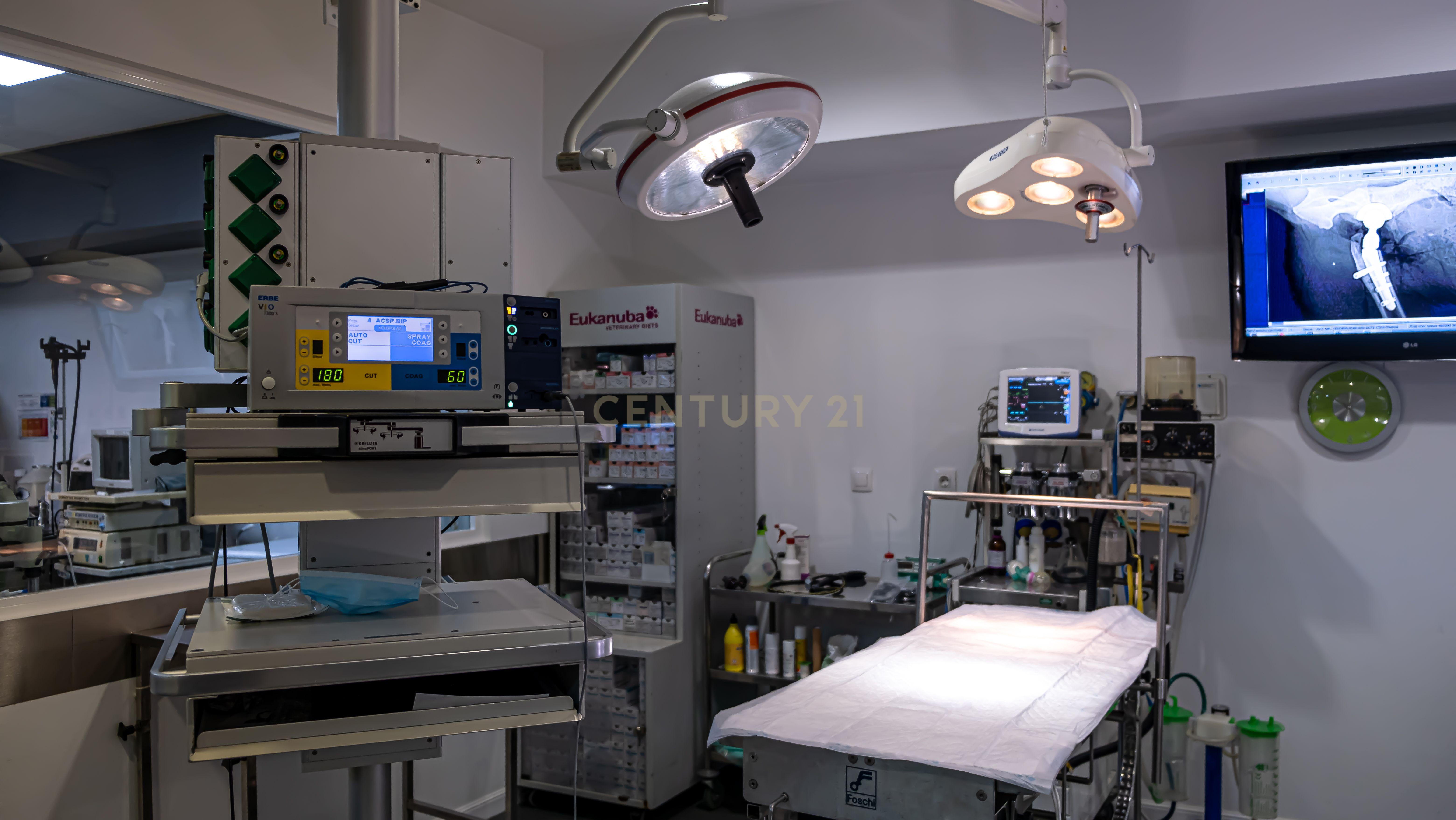 Negócio – Hospital Veterinário no centro de Santarém - Image 56