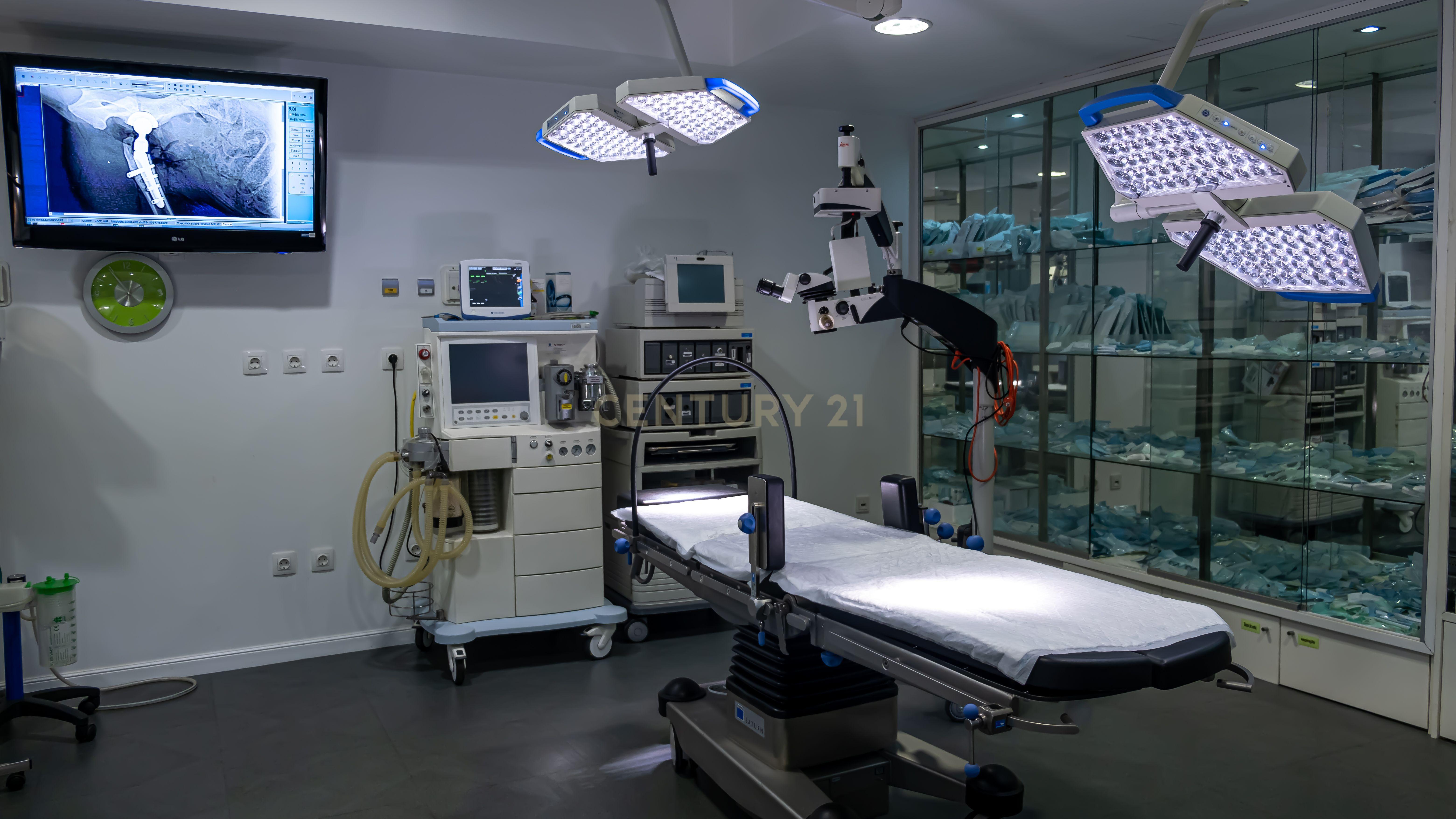 Negócio – Hospital Veterinário no centro de Santarém - Image 34