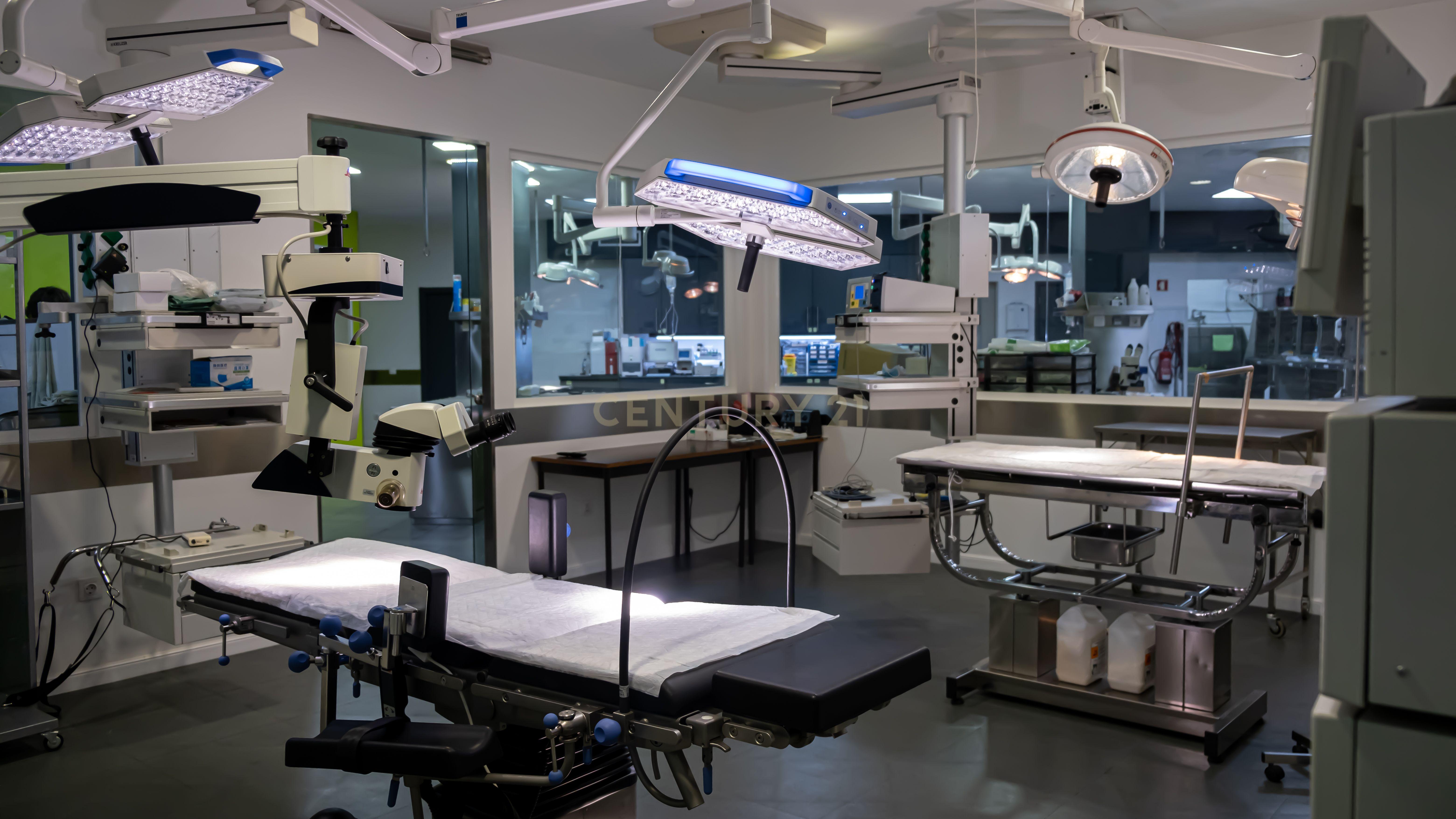 Negócio – Hospital Veterinário no centro de Santarém - Image 2