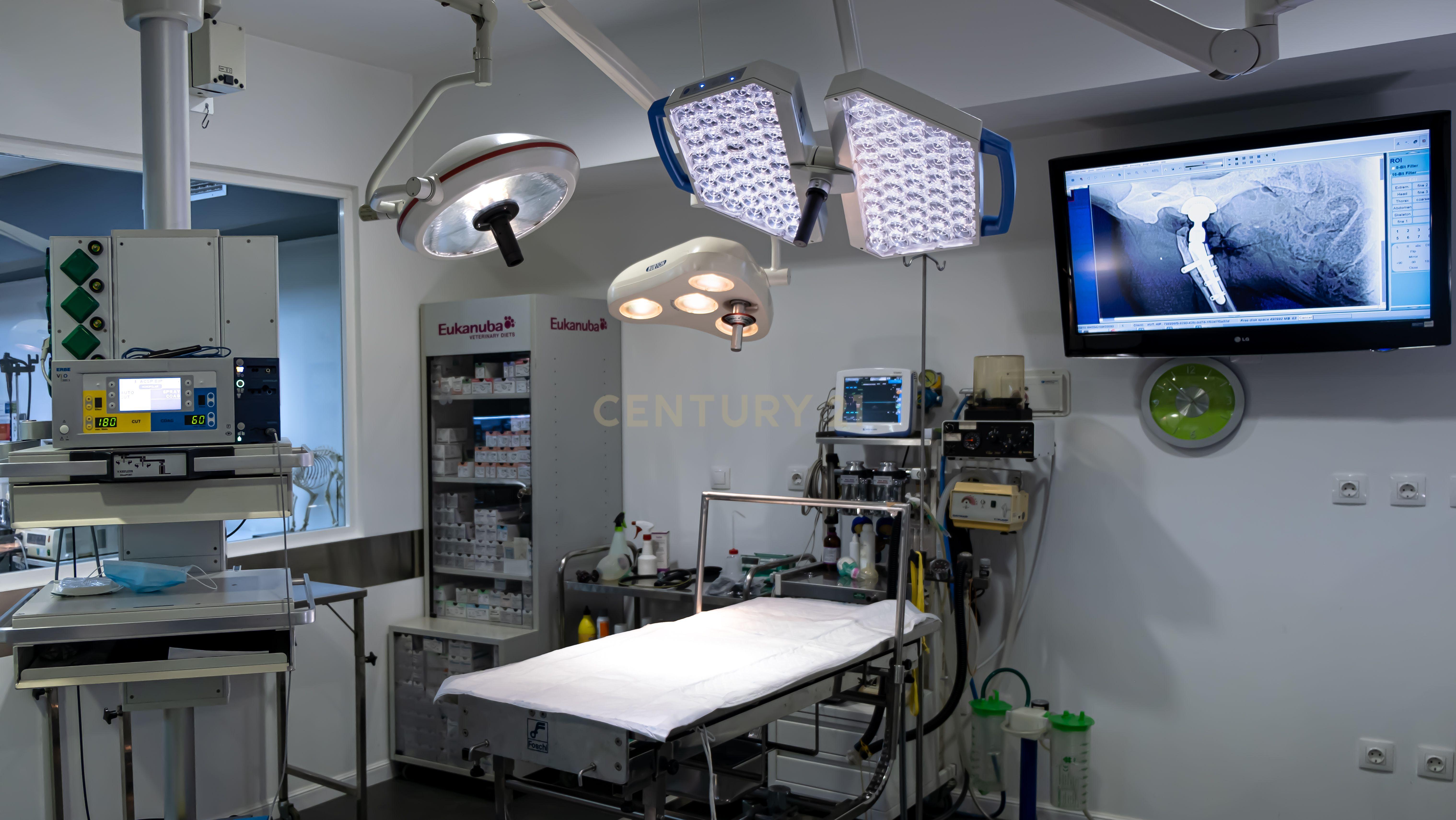 Negócio – Hospital Veterinário no centro de Santarém - Image 52