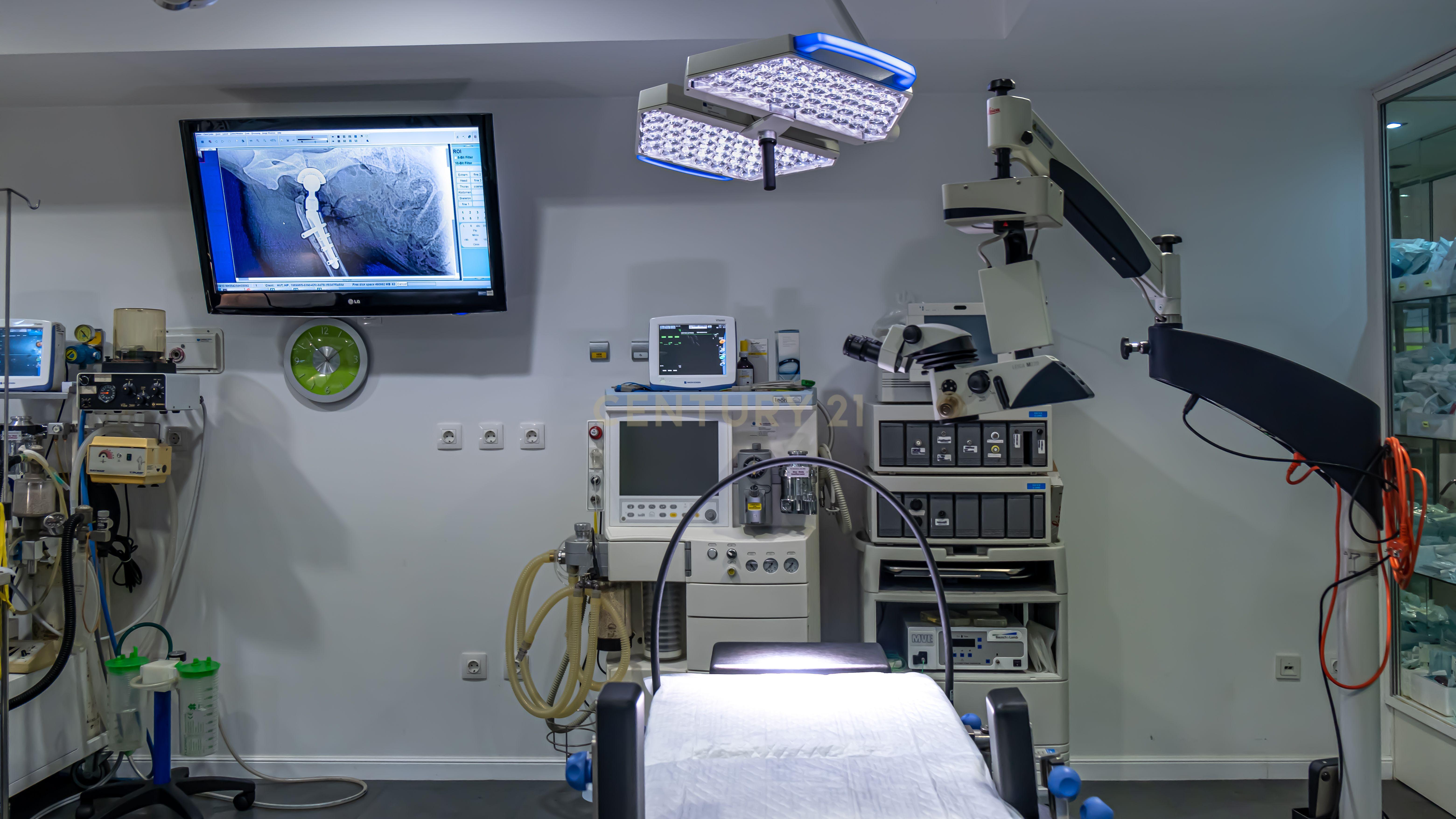 Negócio – Hospital Veterinário no centro de Santarém - Image 53