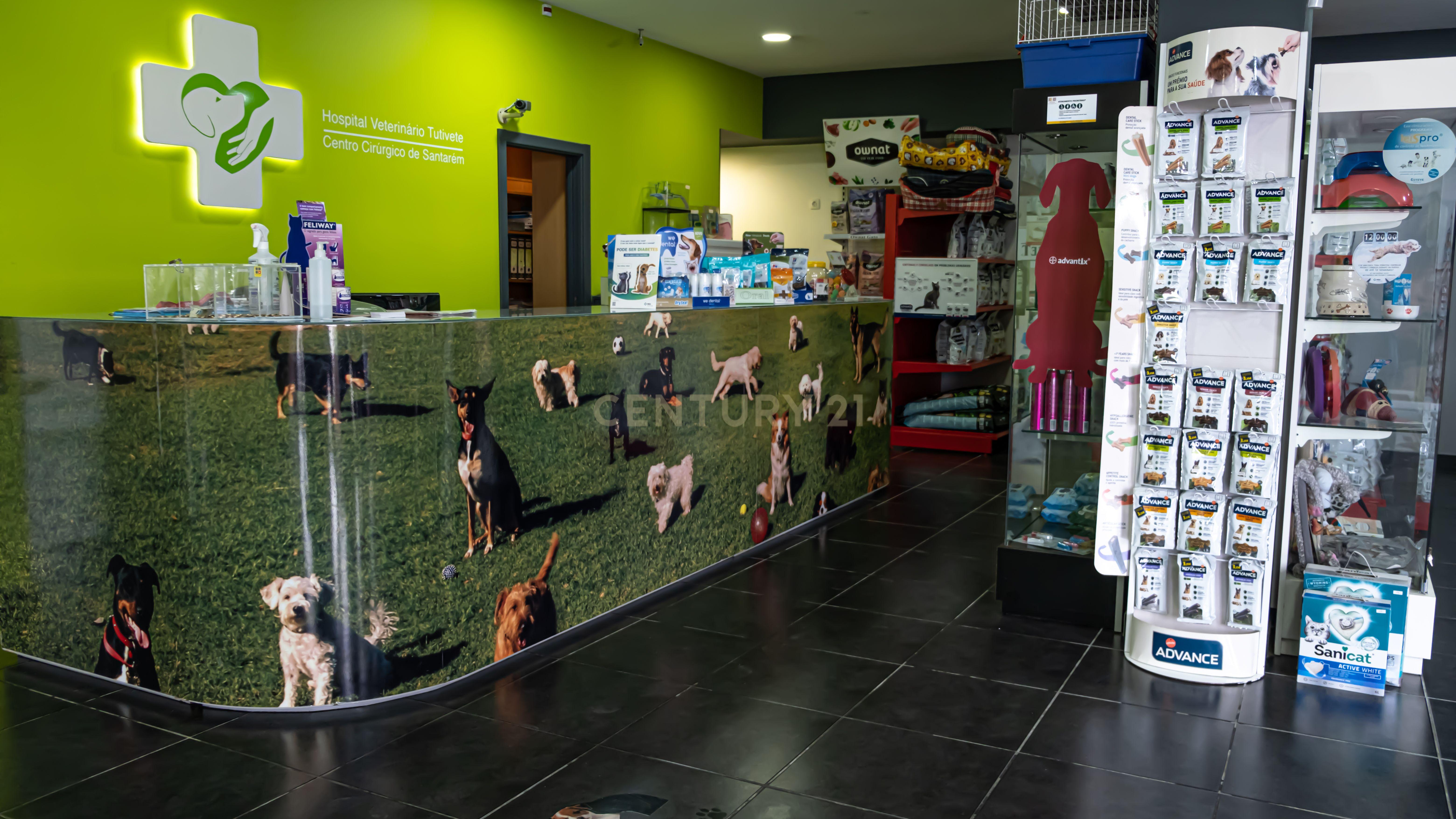 Negócio – Hospital Veterinário no centro de Santarém - Image 41