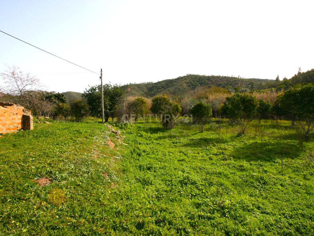 Quintinha no campo com horta  e arvores de fruta em Zebro de Baixo, Messines - Image 20
