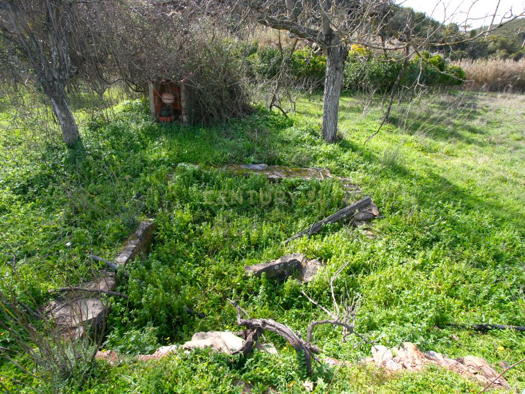 Quintinha no campo com horta  e arvores de fruta em Zebro de Baixo, Messines - Image 22