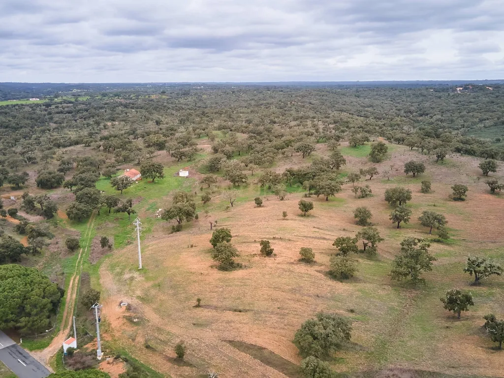 🏡 Herdade com 30 Hectares em Santiago do Cacém – Oportunidade Única! 🌿 - Image 49