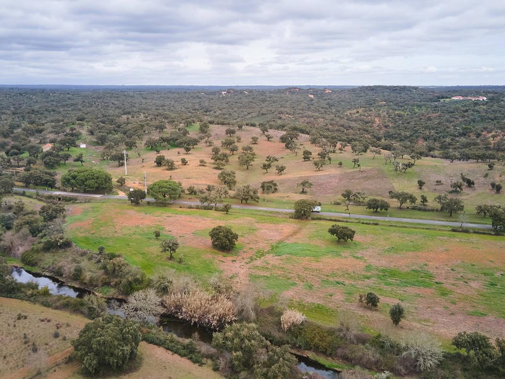 🏡 Herdade com 30 Hectares em Santiago do Cacém – Oportunidade Única! 🌿 - Image 51