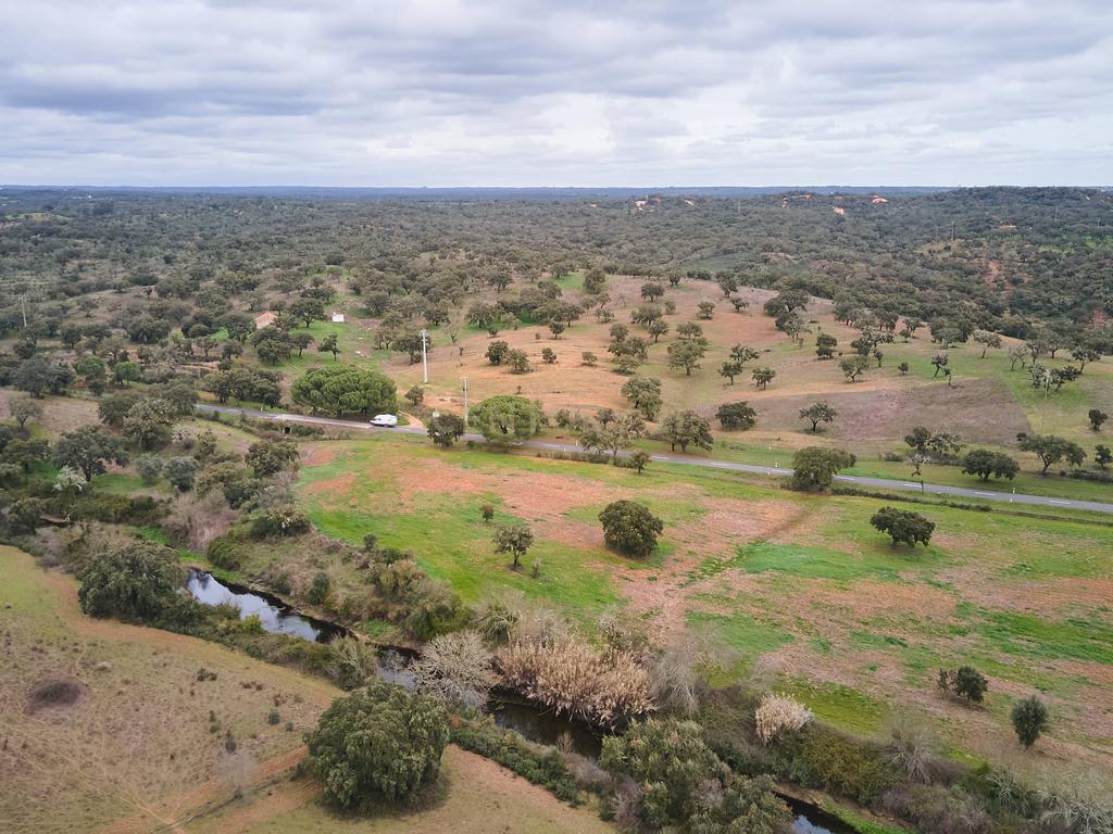 🏡 Herdade com 30 Hectares em Santiago do Cacém – Oportunidade Única! 🌿 - Image 52
