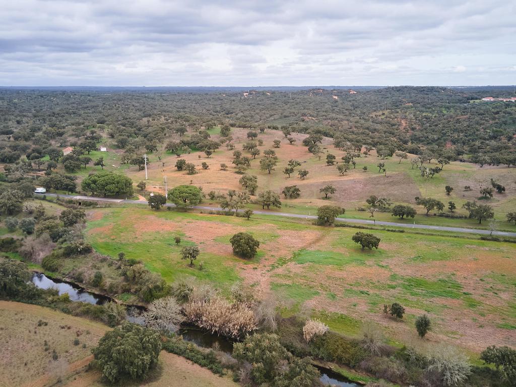 🏡 Herdade com 30 Hectares em Santiago do Cacém – Oportunidade Única! 🌿 - Image 53