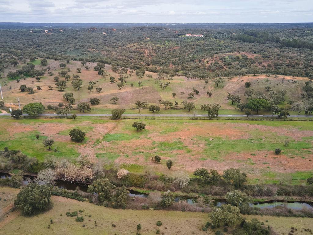 🏡 Herdade com 30 Hectares em Santiago do Cacém – Oportunidade Única! 🌿 - Image 54