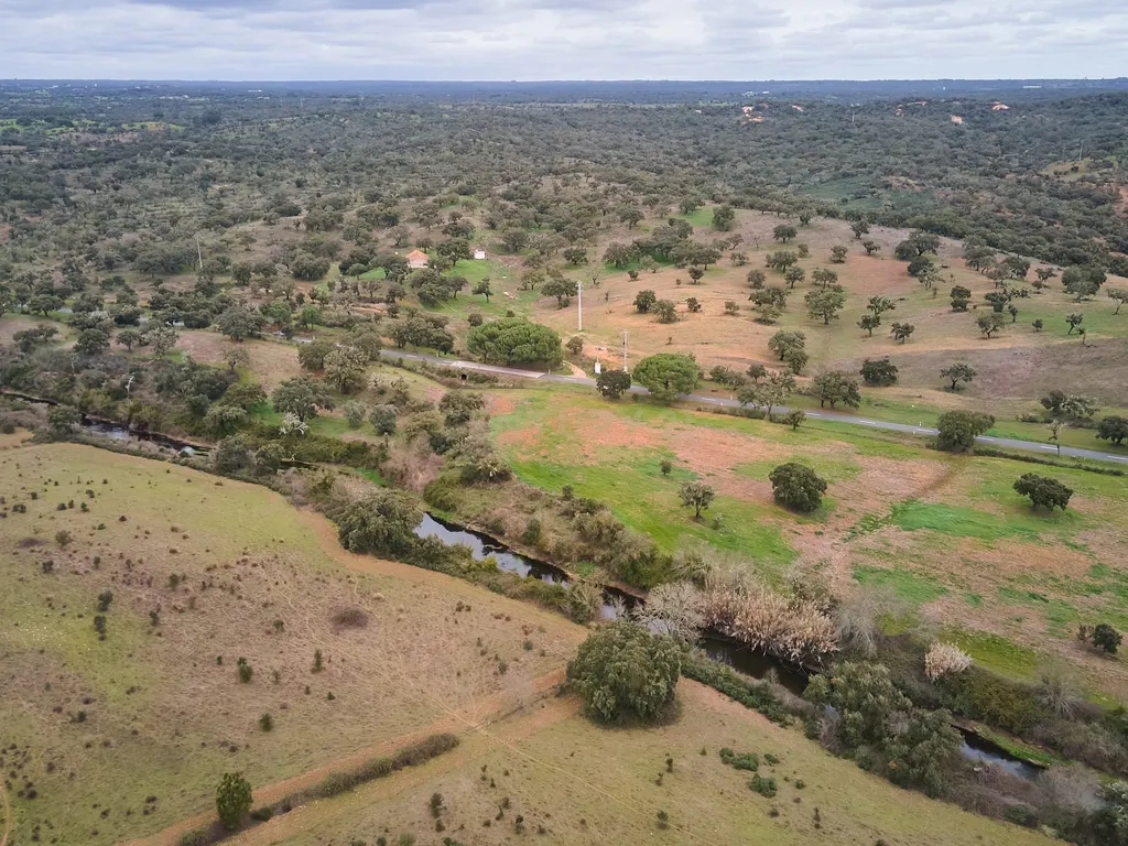 🏡 Herdade com 30 Hectares em Santiago do Cacém – Oportunidade Única! 🌿 - Image 39