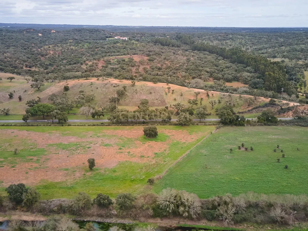 🏡 Herdade com 30 Hectares em Santiago do Cacém – Oportunidade Única! 🌿 - Image 41