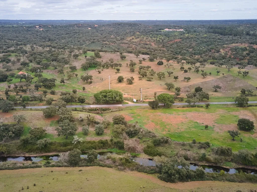 🏡 Herdade com 30 Hectares em Santiago do Cacém – Oportunidade Única! 🌿 - Image 40