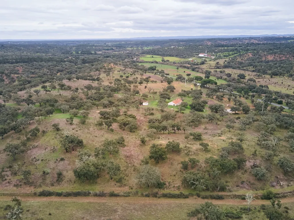 🏡 Herdade com 30 Hectares em Santiago do Cacém – Oportunidade Única! 🌿 - Image 46