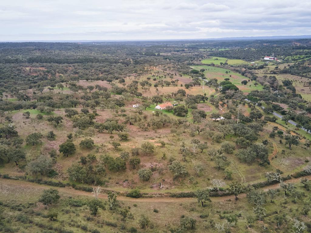 🏡 Herdade com 30 Hectares em Santiago do Cacém – Oportunidade Única! 🌿 - Image 42