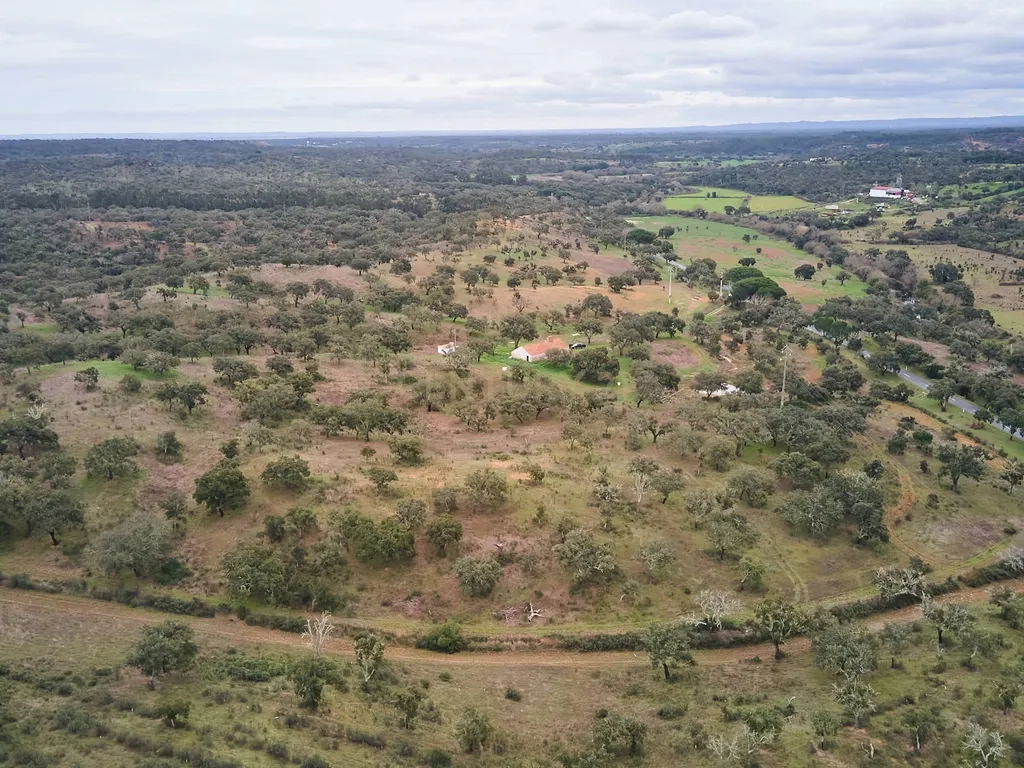🏡 Herdade com 30 Hectares em Santiago do Cacém – Oportunidade Única! 🌿 - Image 42