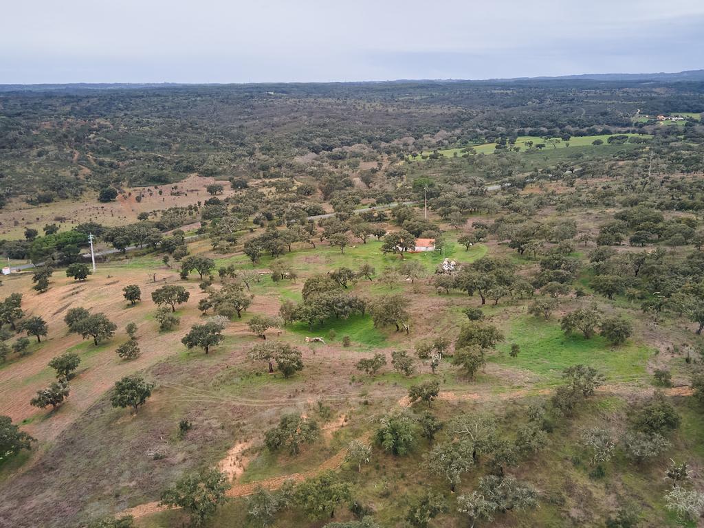 🏡 Herdade com 30 Hectares em Santiago do Cacém – Oportunidade Única! 🌿 - Image 55
