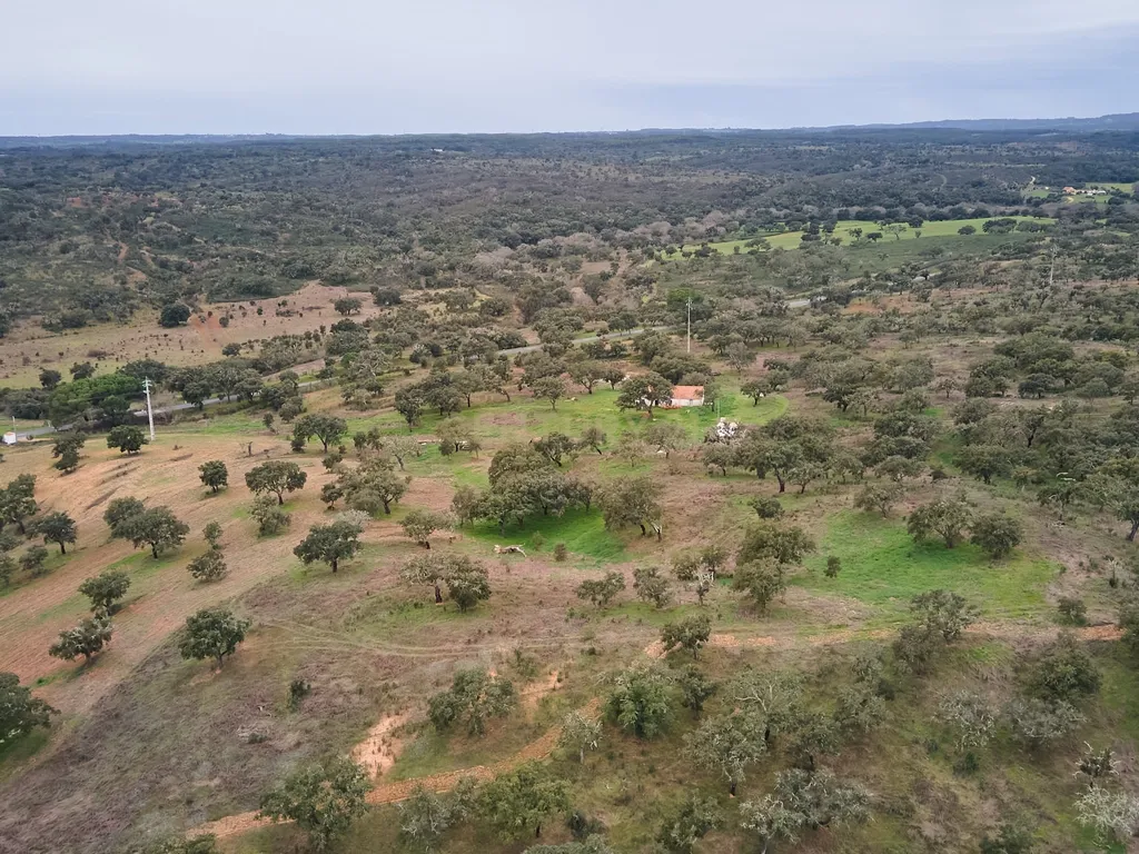 🏡 Herdade com 30 Hectares em Santiago do Cacém – Oportunidade Única! 🌿 - Image 55