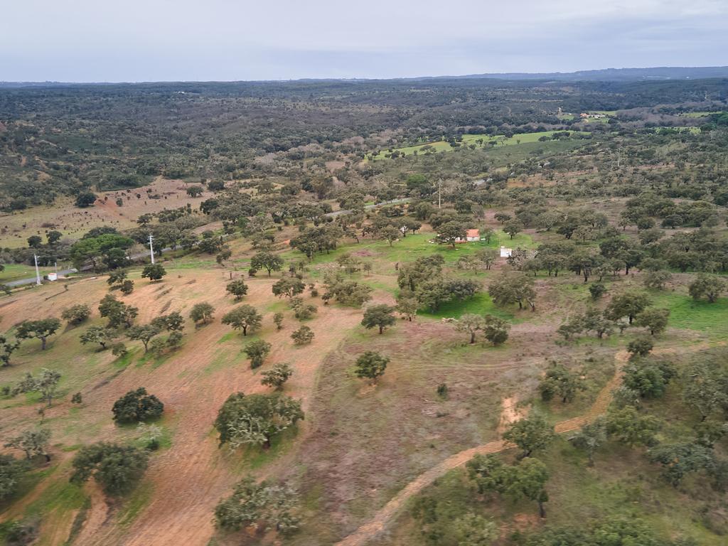 🏡 Herdade com 30 Hectares em Santiago do Cacém – Oportunidade Única! 🌿 - Image 44