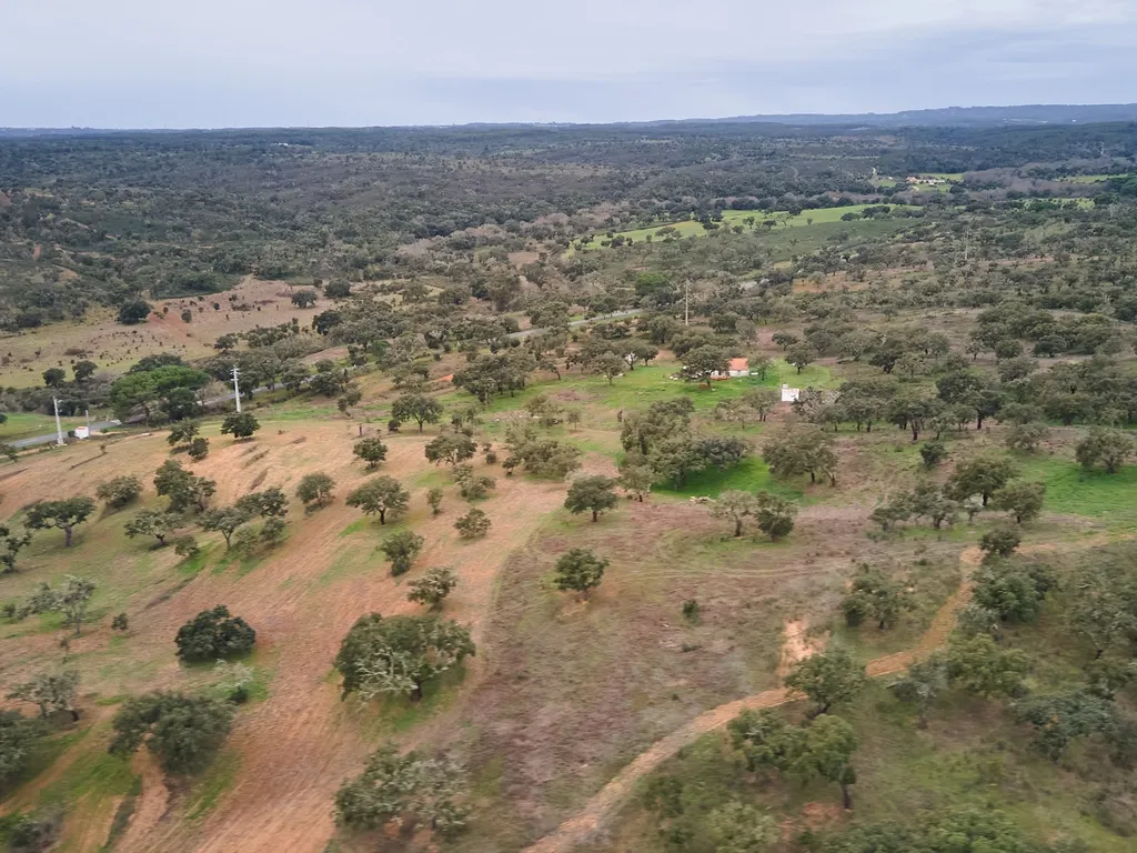 🏡 Herdade com 30 Hectares em Santiago do Cacém – Oportunidade Única! 🌿 - Image 44