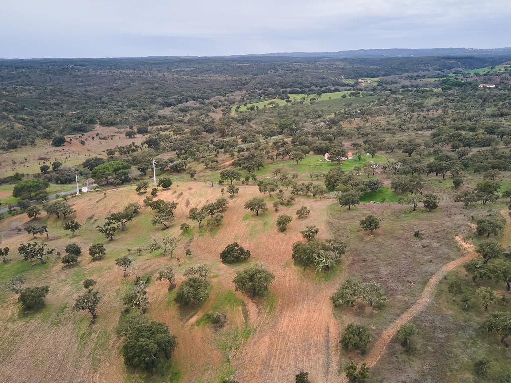🏡 Herdade com 30 Hectares em Santiago do Cacém – Oportunidade Única! 🌿 - Image 45