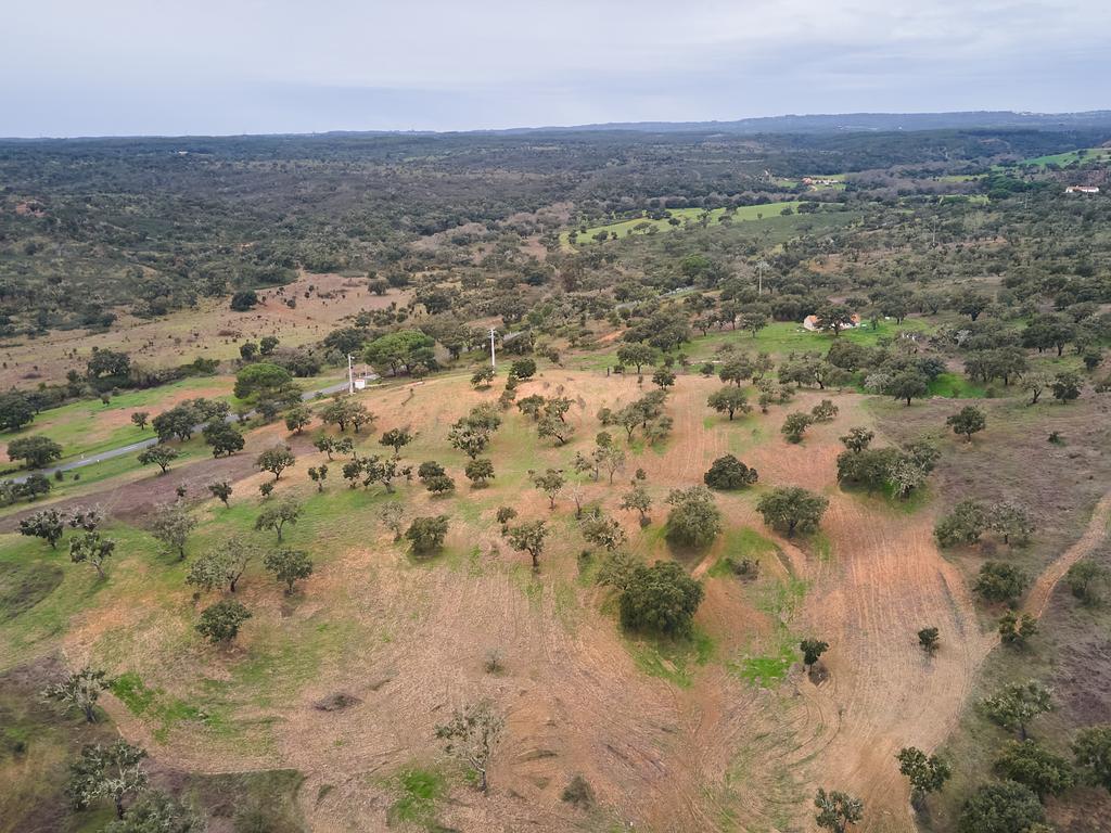 🏡 Herdade com 30 Hectares em Santiago do Cacém – Oportunidade Única! 🌿 - Image 58