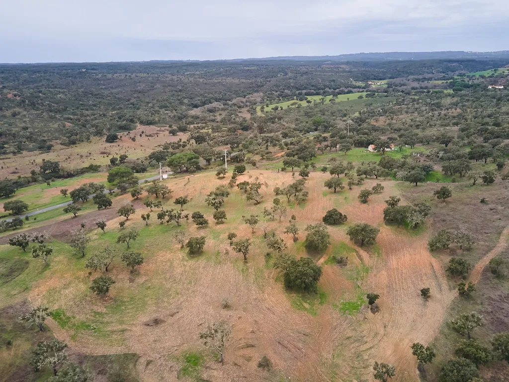 🏡 Herdade com 30 Hectares em Santiago do Cacém – Oportunidade Única! 🌿 - Image 58