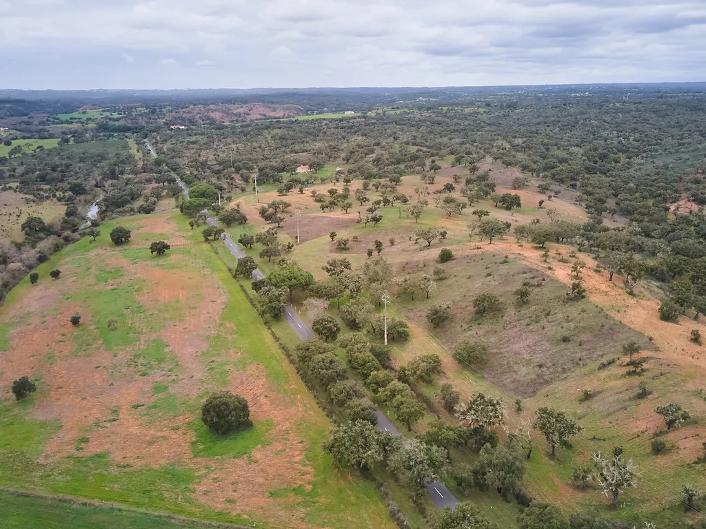 🏡 Herdade com 30 Hectares em Santiago do Cacém – Oportunidade Única! 🌿 - Image 47