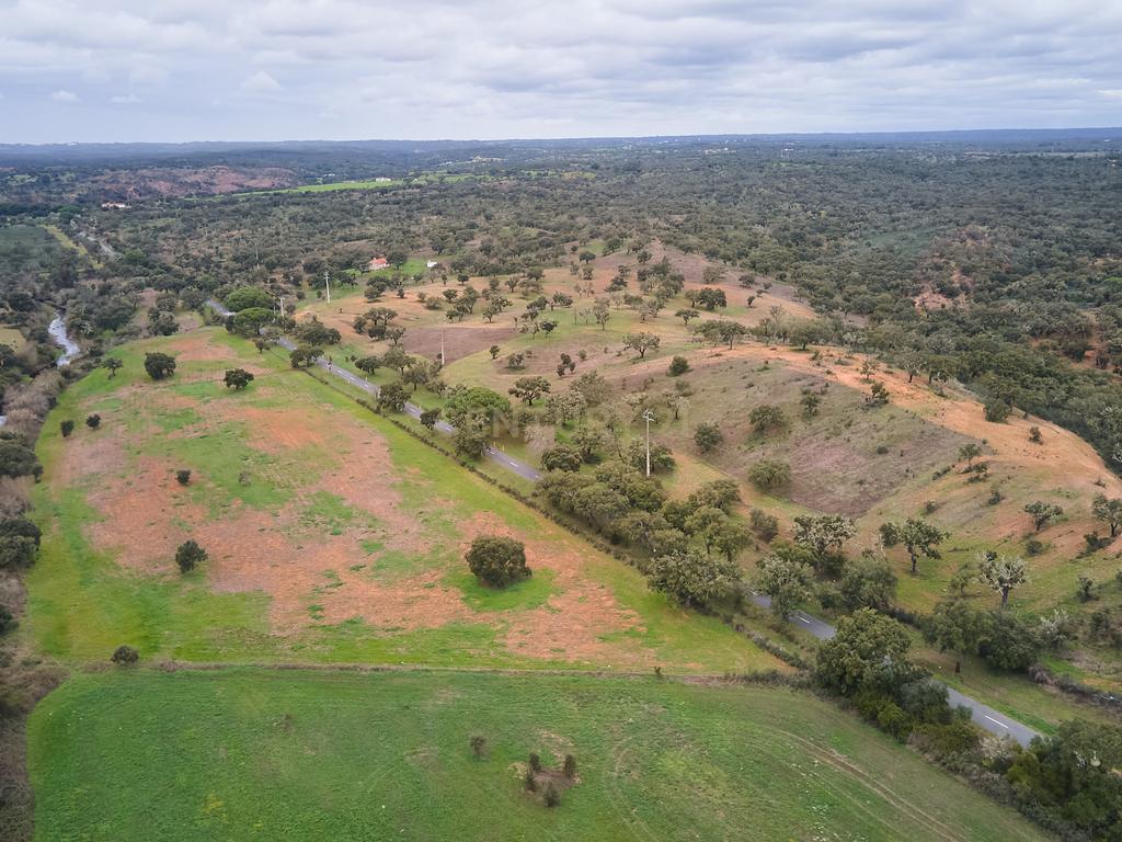 🏡 Herdade com 30 Hectares em Santiago do Cacém – Oportunidade Única! 🌿 - Image 48