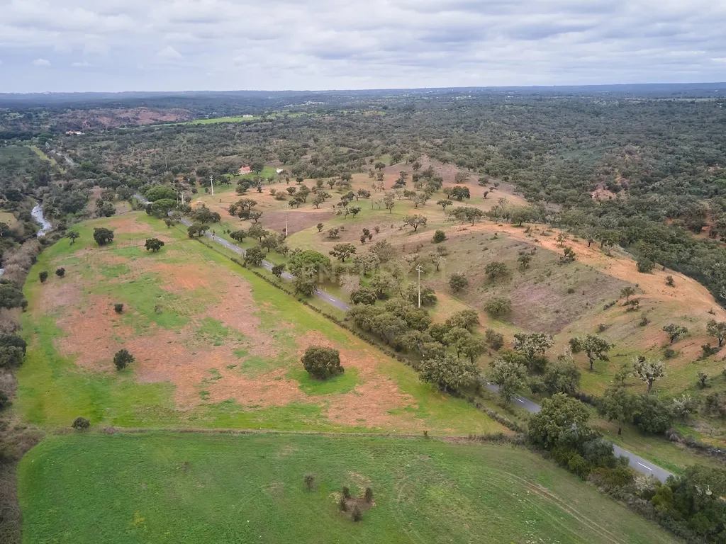 🏡 Herdade com 30 Hectares em Santiago do Cacém – Oportunidade Única! 🌿 - Image 48