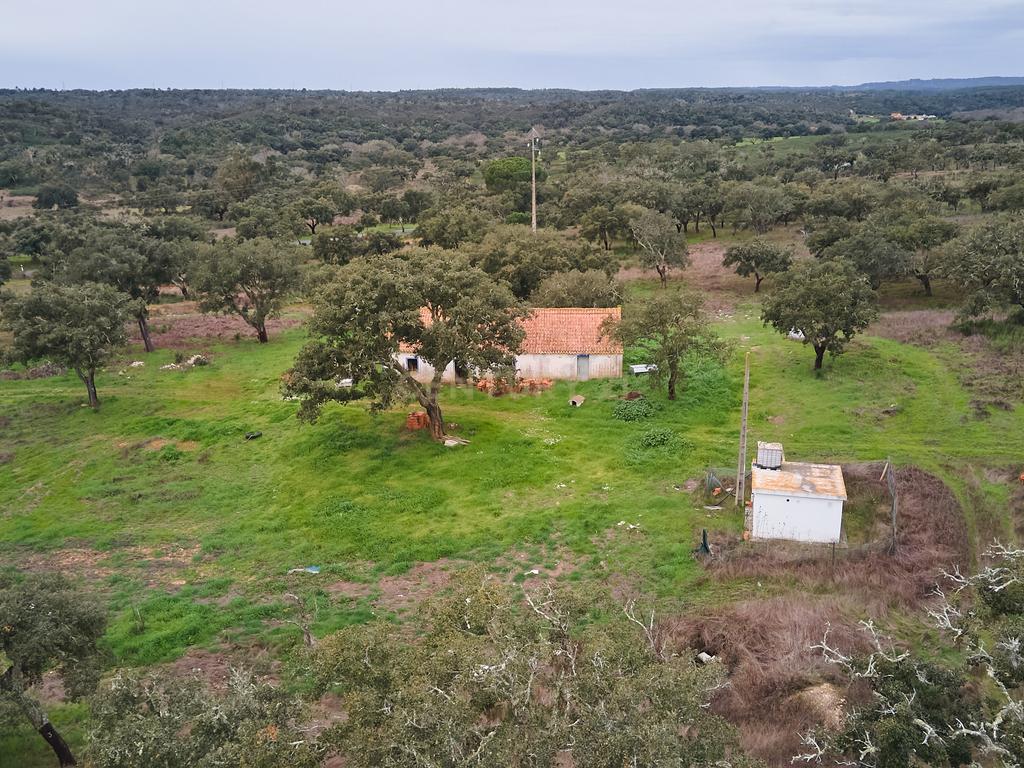 🏡 Herdade com 30 Hectares em Santiago do Cacém – Oportunidade Única! 🌿 - Image 33
