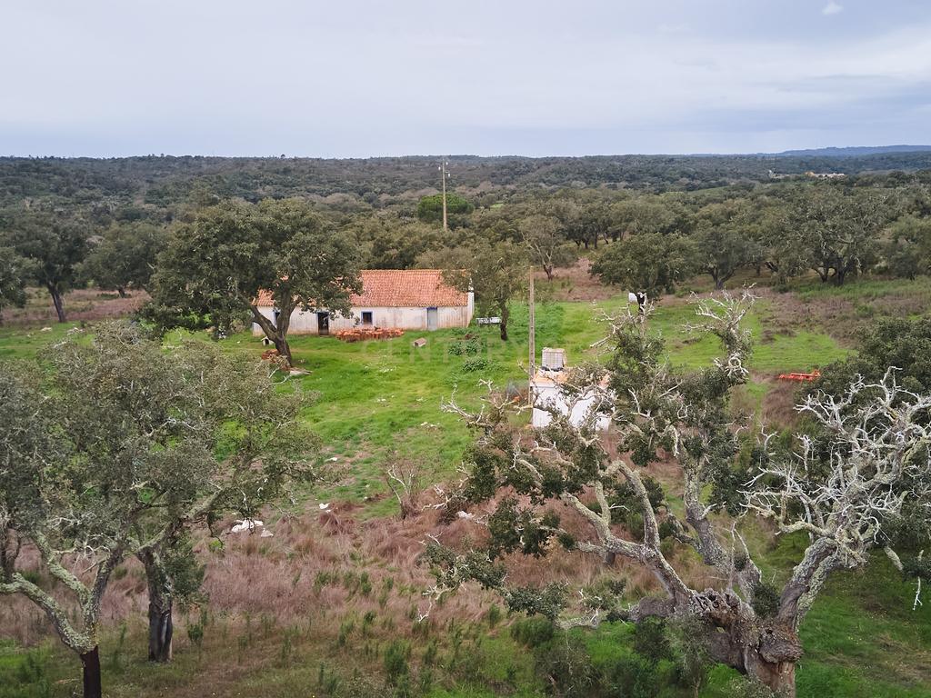 🏡 Herdade com 30 Hectares em Santiago do Cacém – Oportunidade Única! 🌿 - Image 1